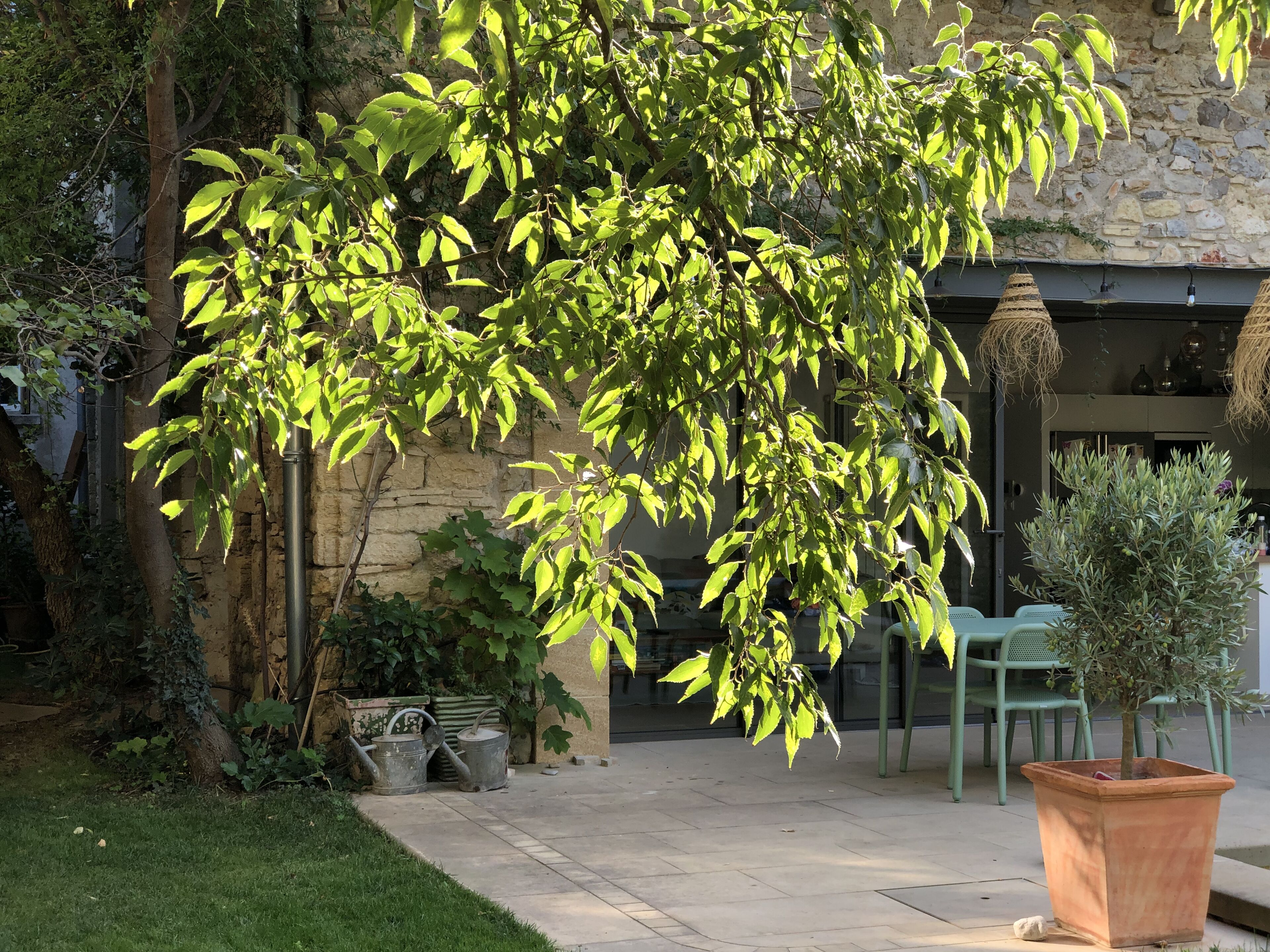 Les Nuits Pétillantes