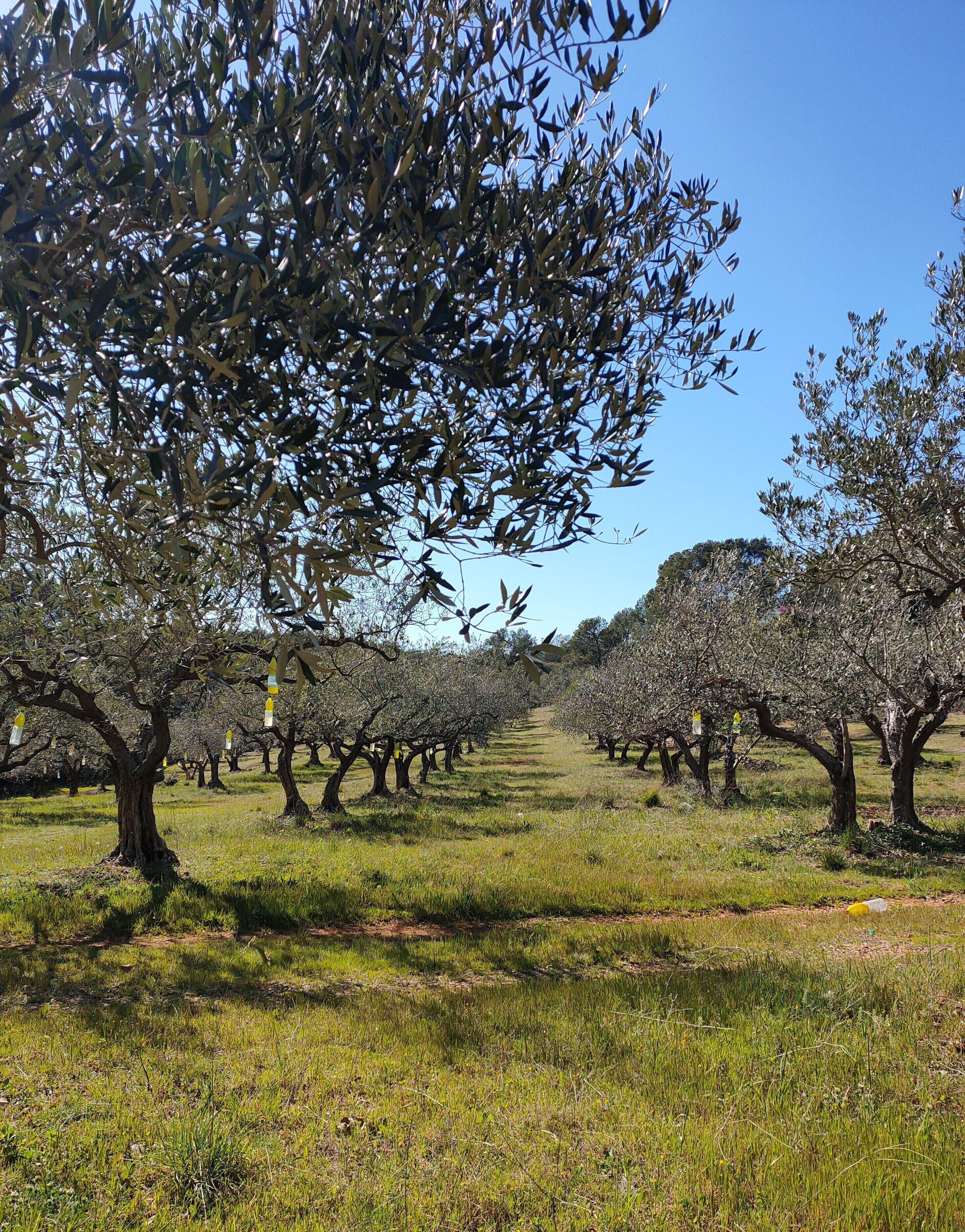 Les Hauts Du Peireguier