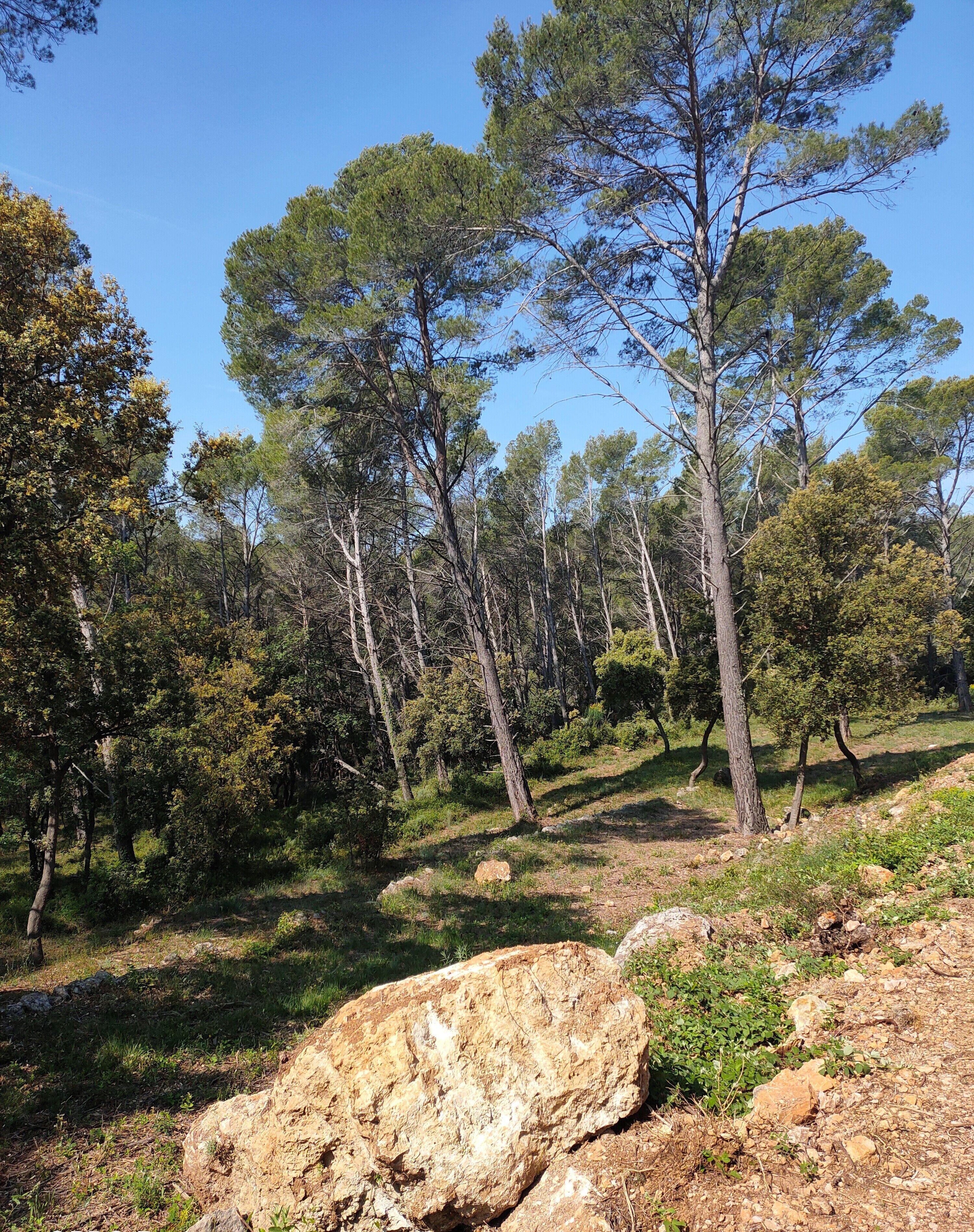 Les Hauts Du Peireguier