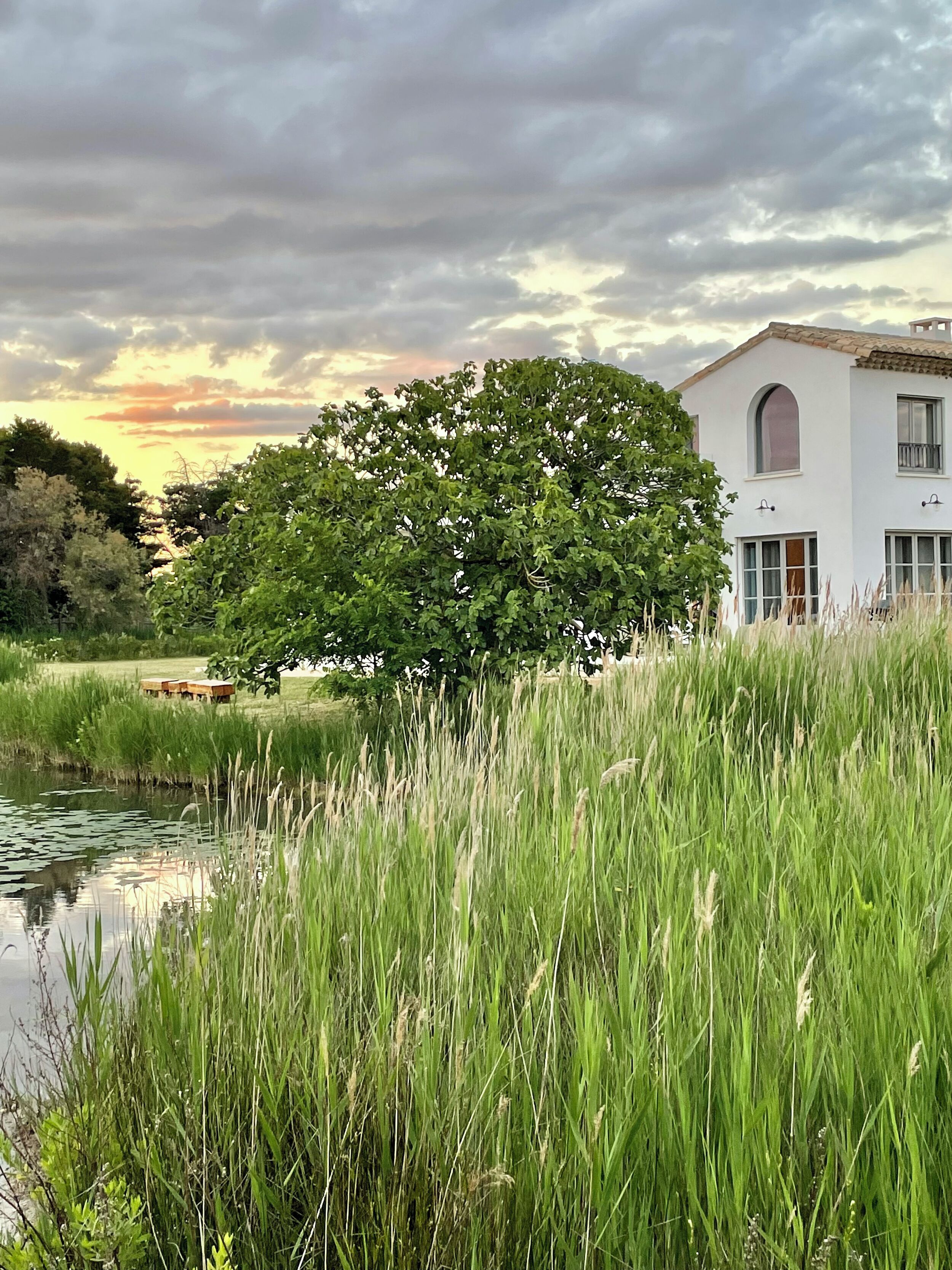 Mas Du Couvin - Maison D'hotes Camargue