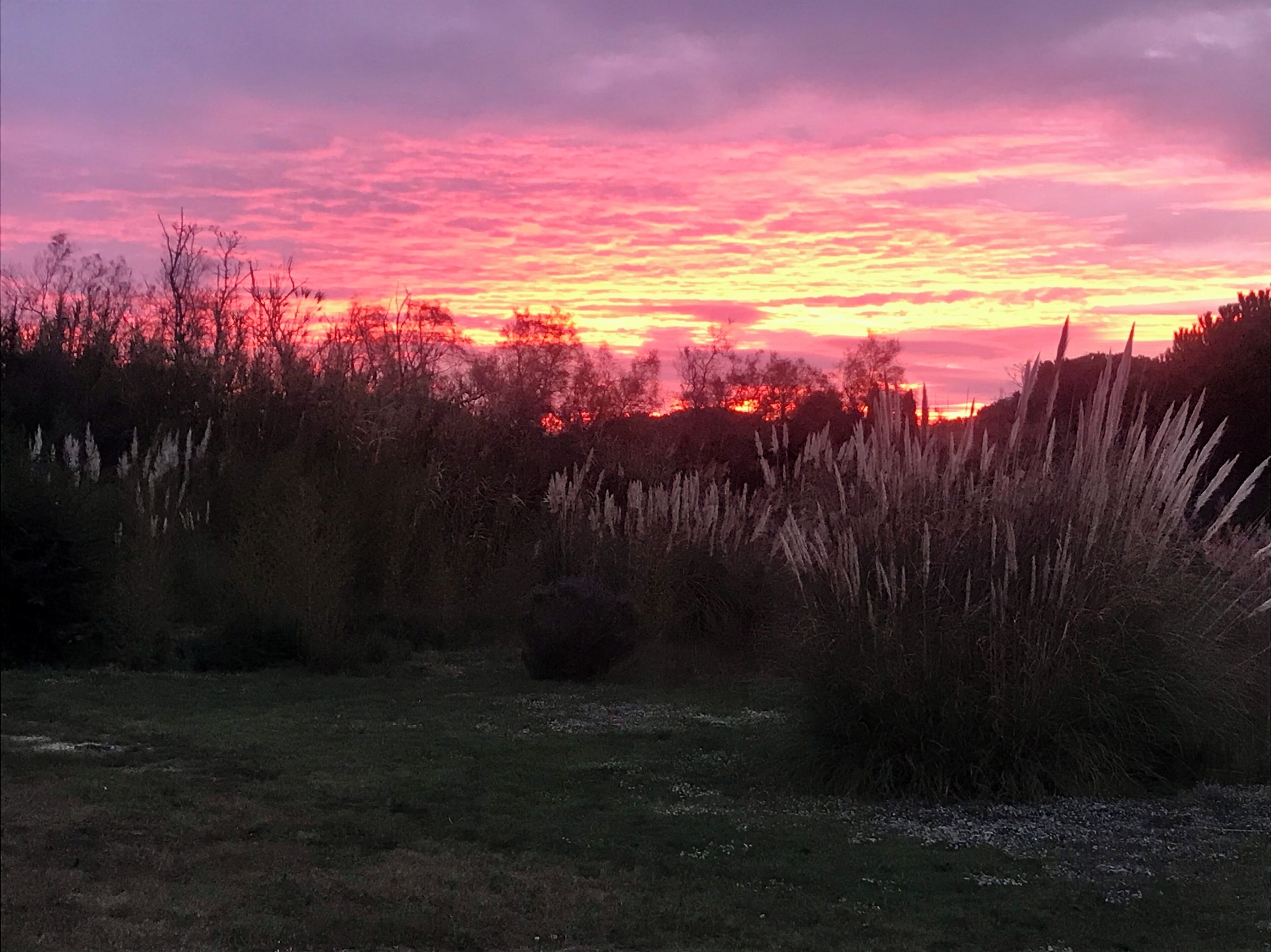 Mas Du Couvin - Maison D'hotes Camargue