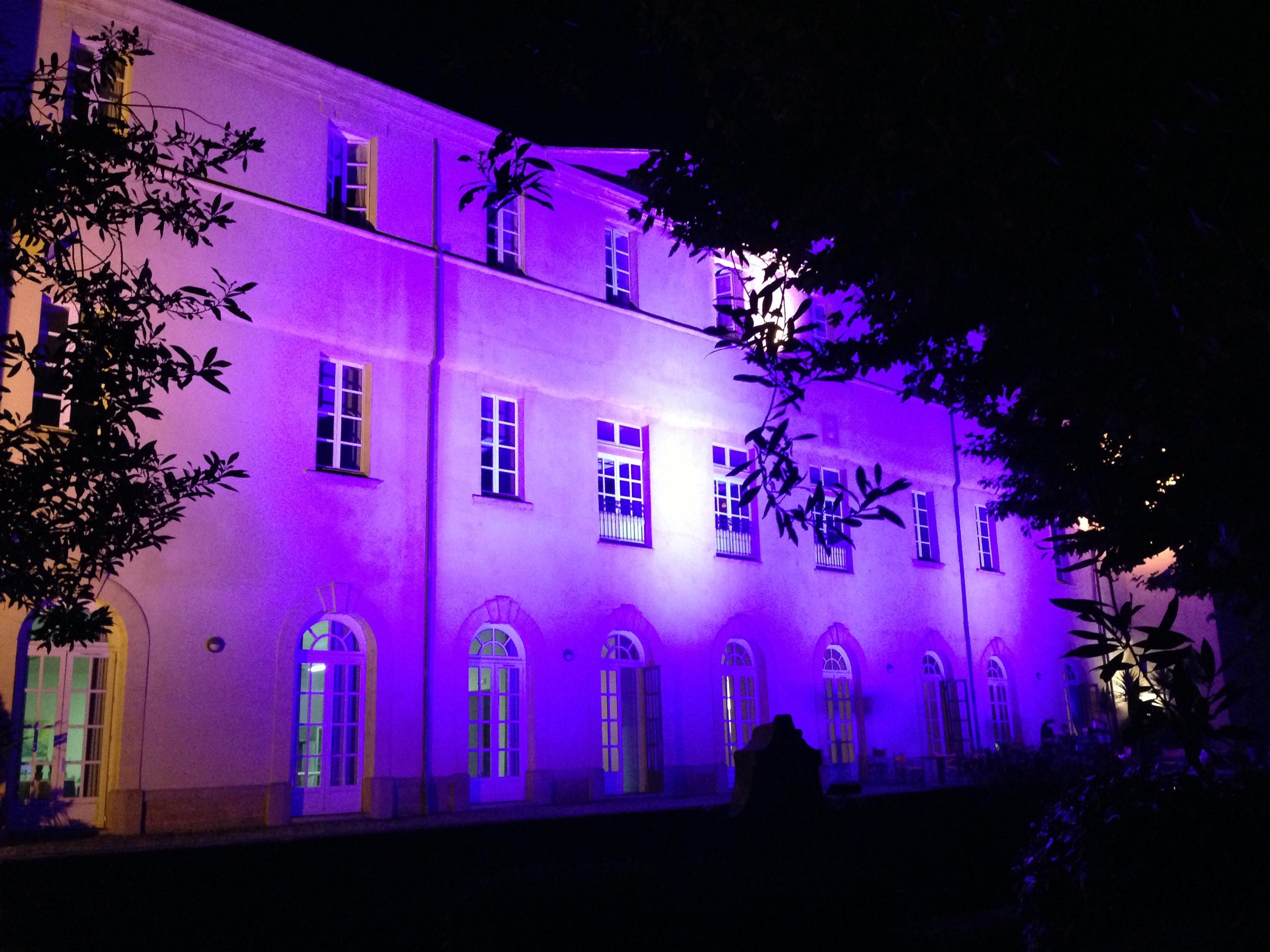 Chateau de Lignan