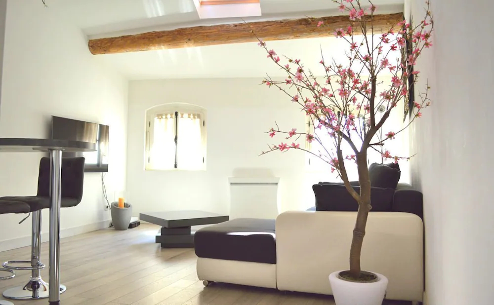 Les Appartements du Vieux Port