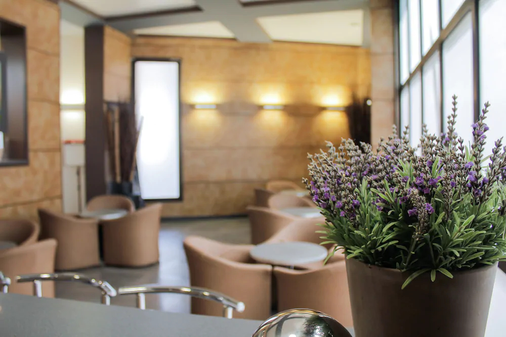 Greet Hotel Marseille Parc Chanot Velodrome
