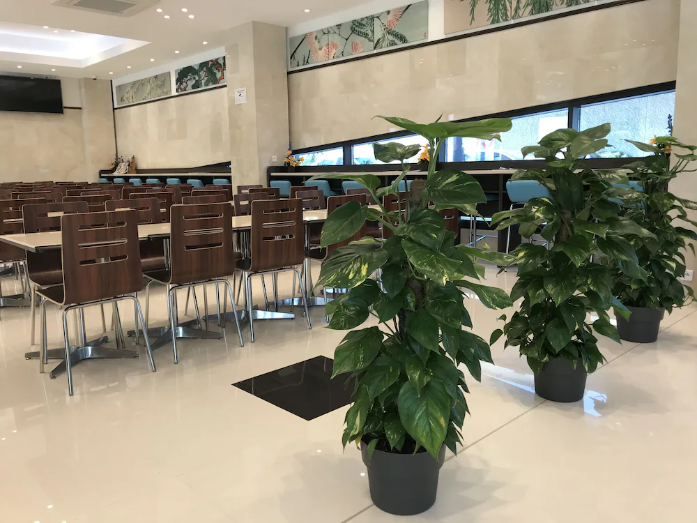 Toyoko Inn Marseille Saint Charles