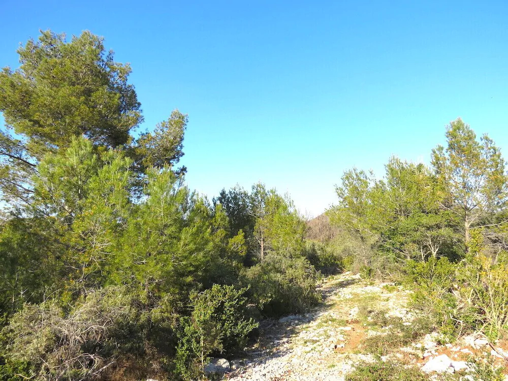 Le Mas De La Draille