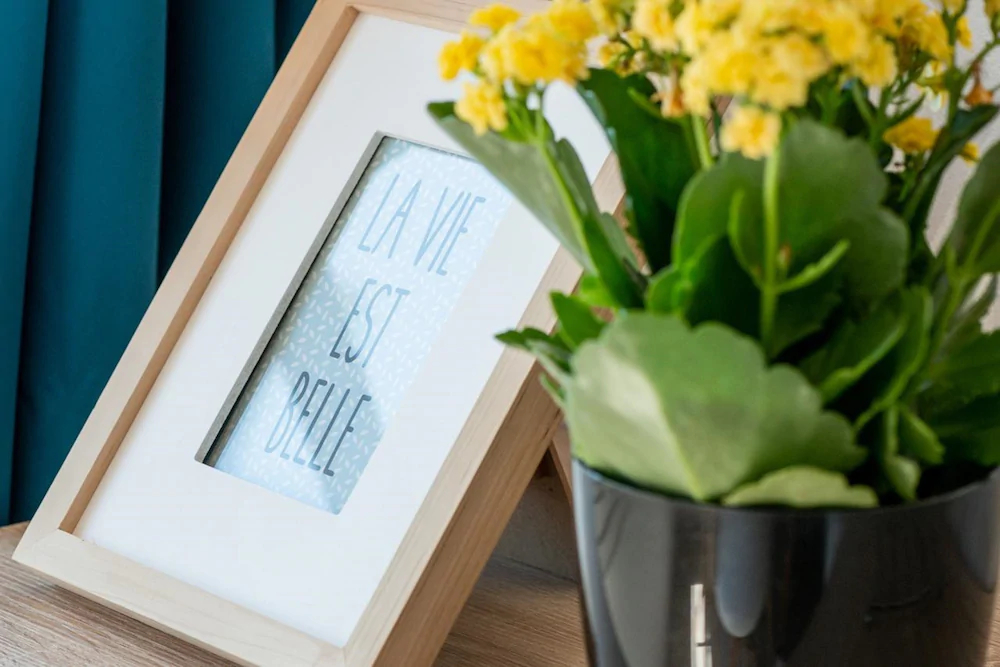 La Maisonnette Narbonnaise