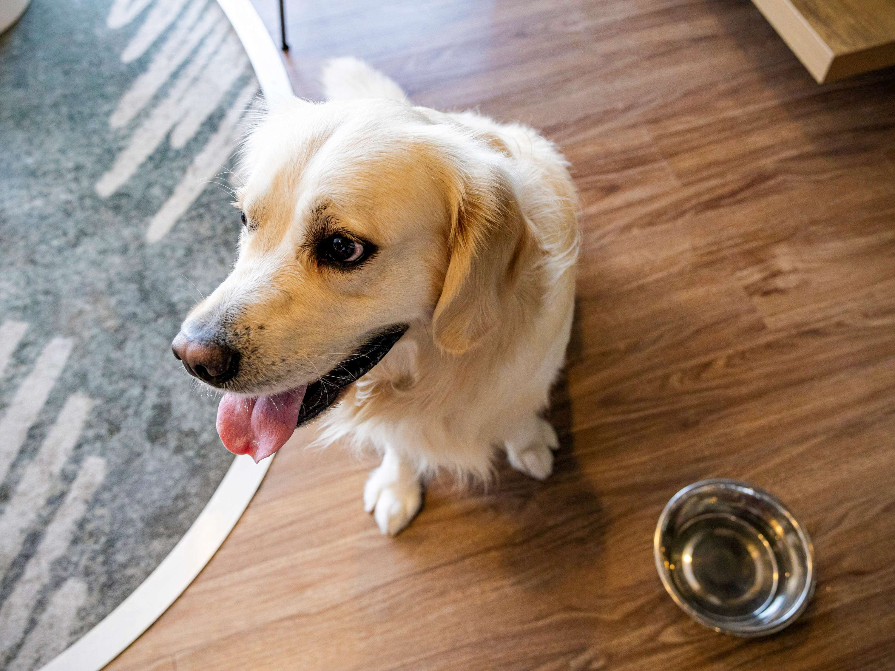 ibis budget Perpignan sud