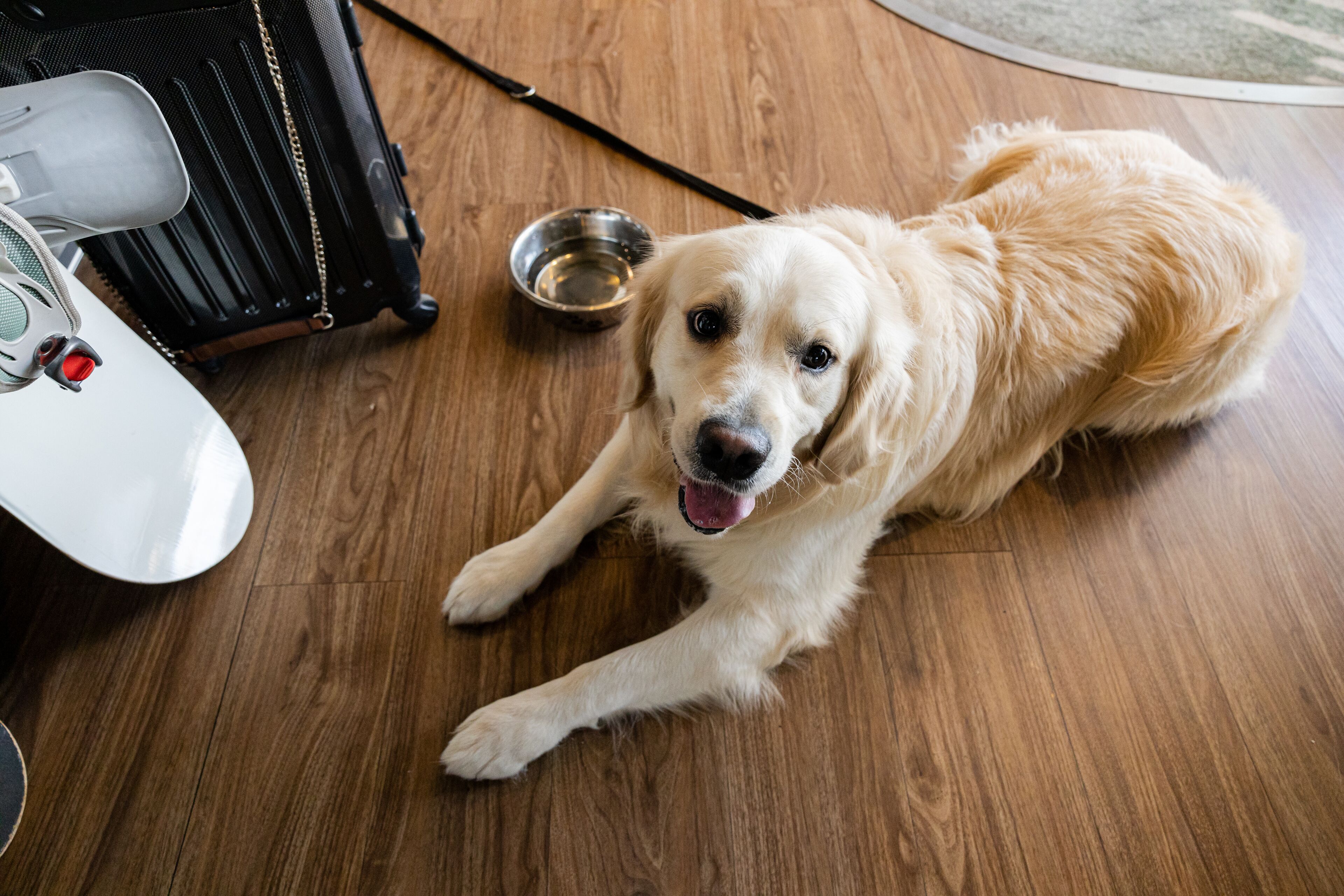 ibis budget Perpignan sud