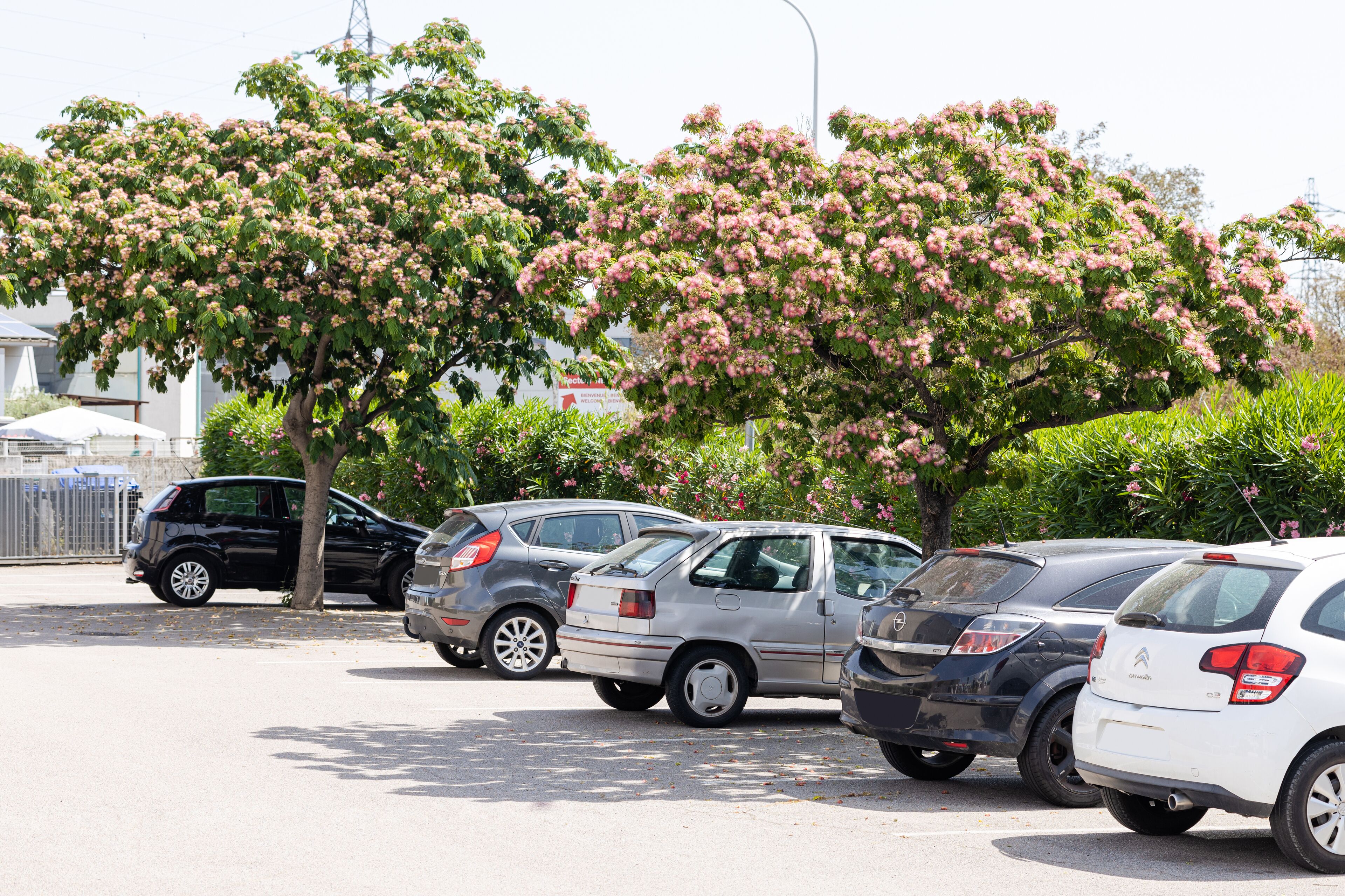 ibis budget Perpignan sud