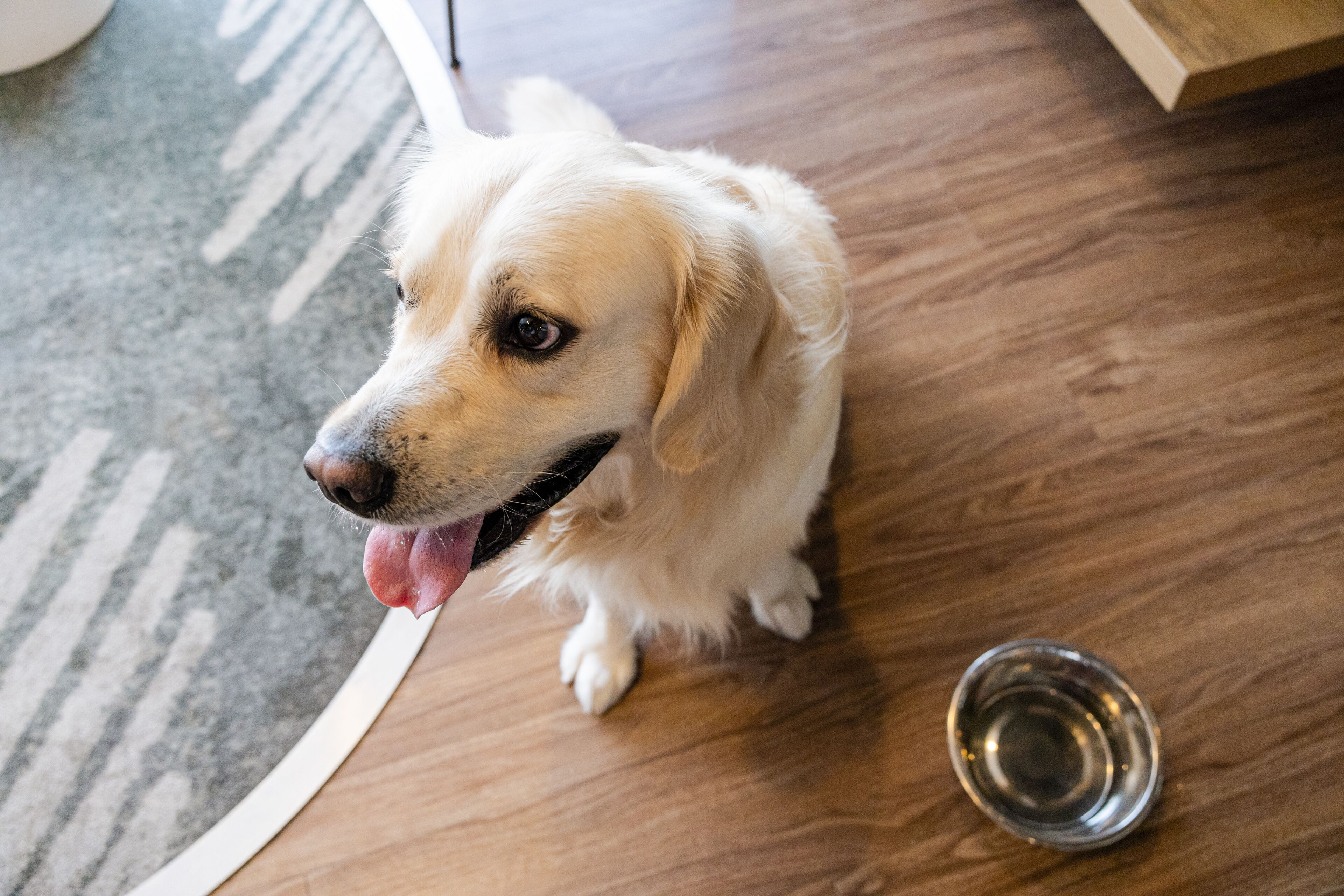 ibis budget Perpignan sud