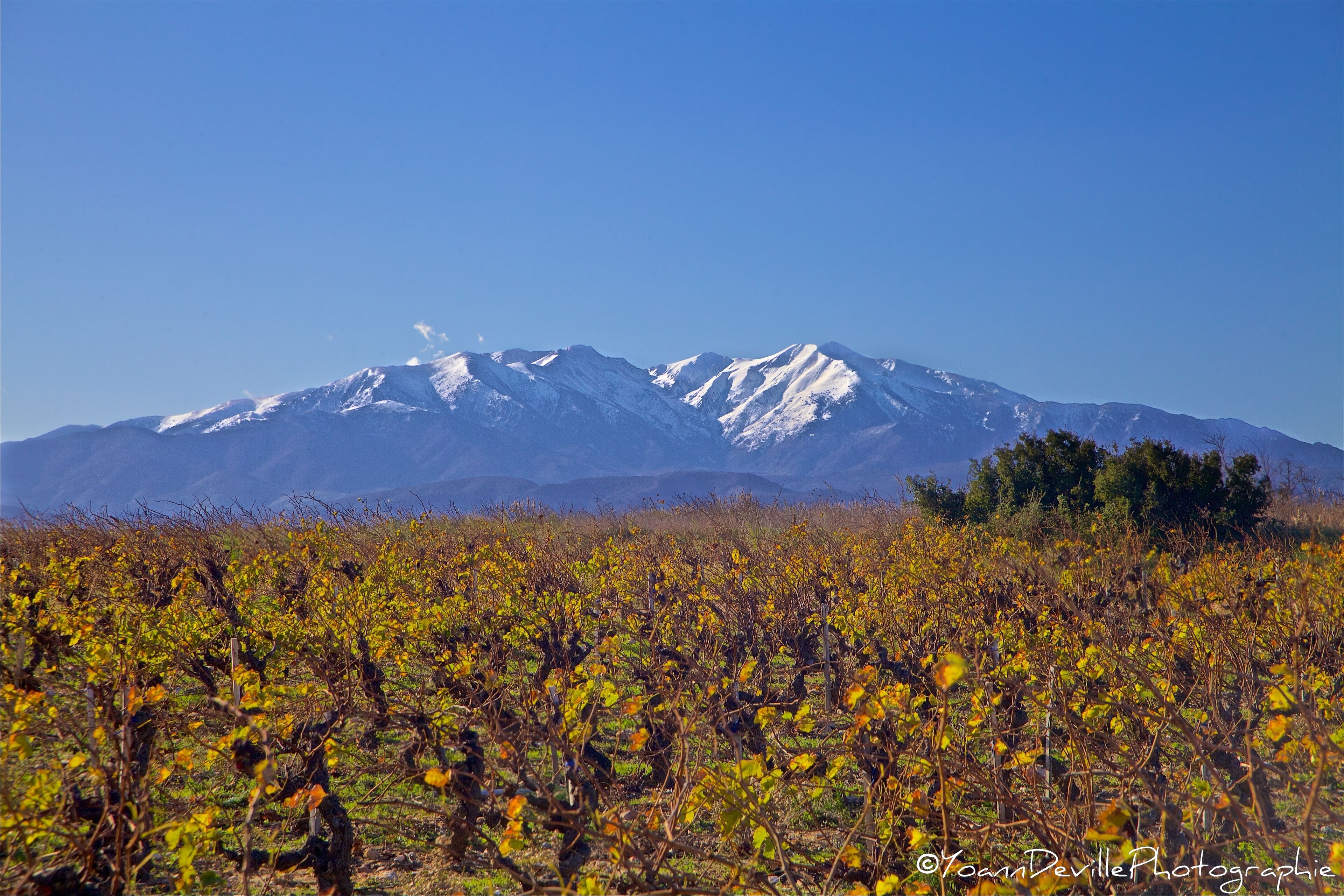 The Originals City, Hôtel Les Dômes, Perpignan Sud Saleilles