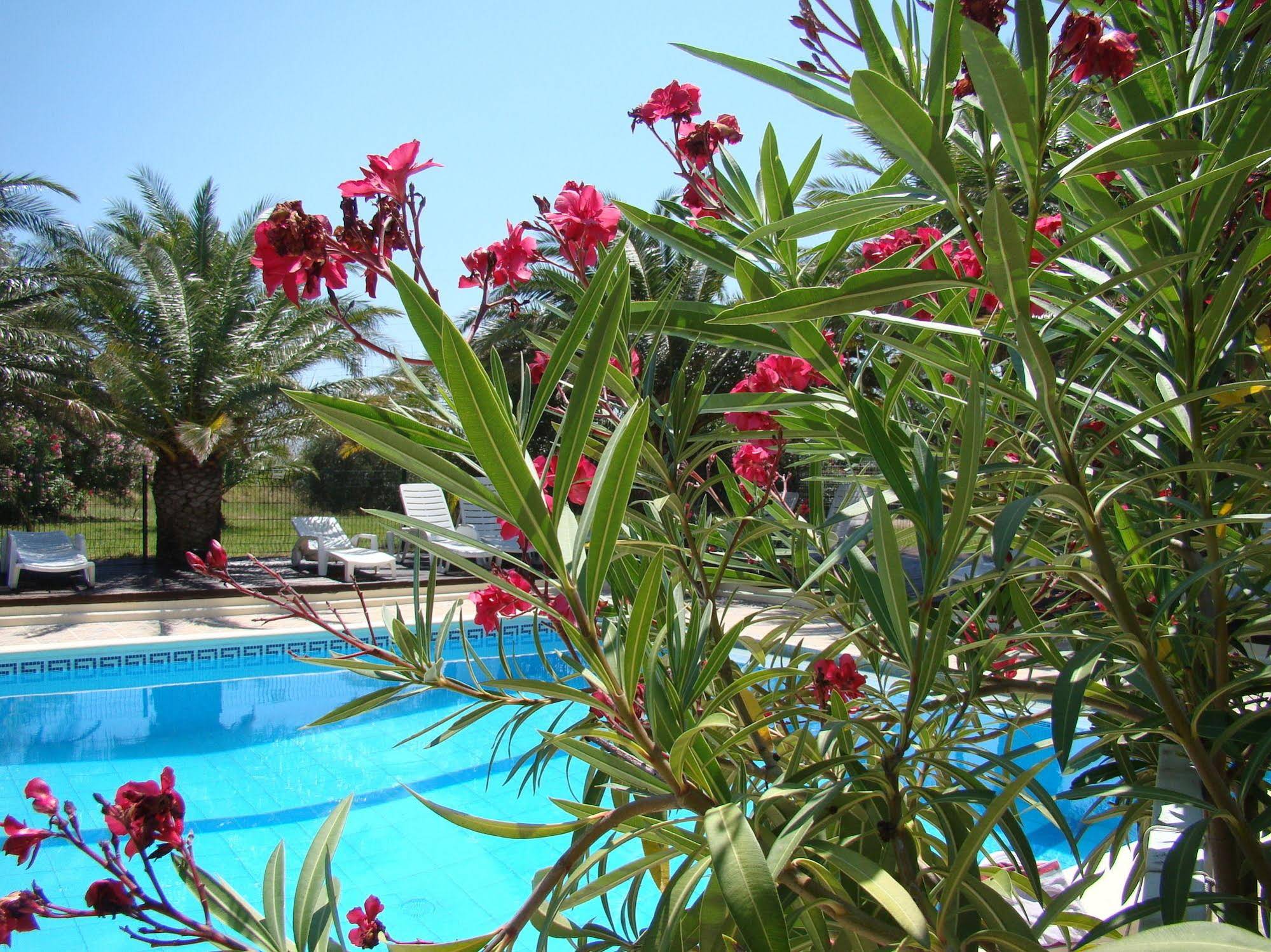 Hotel Tropic