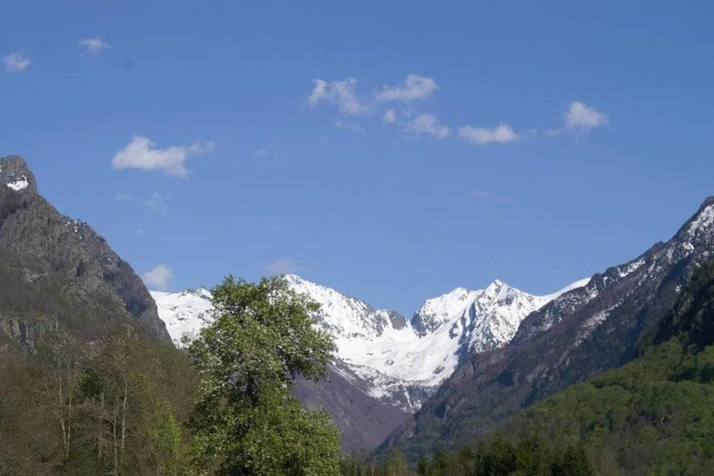 Chalet Balou