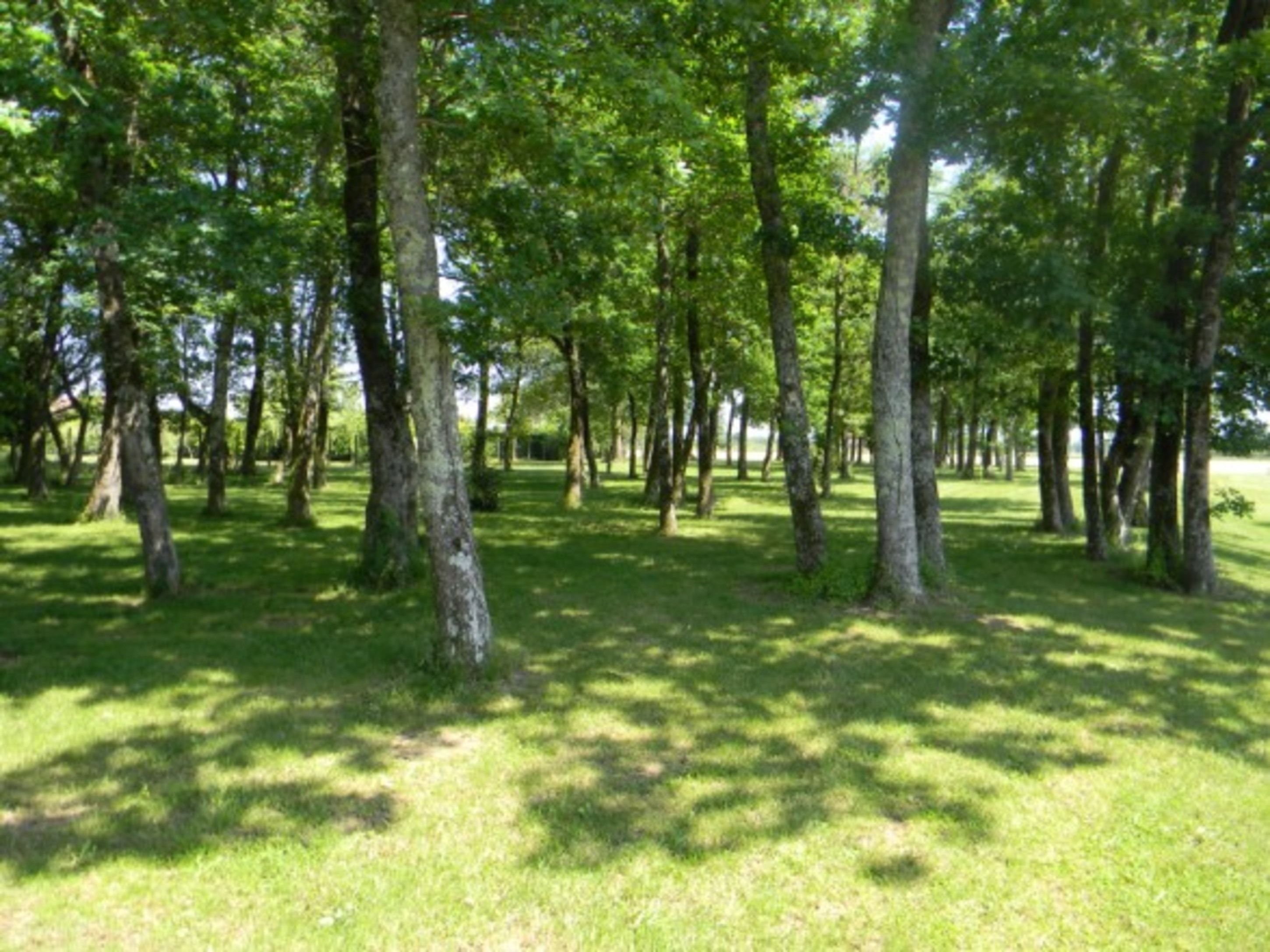 Le Moulia