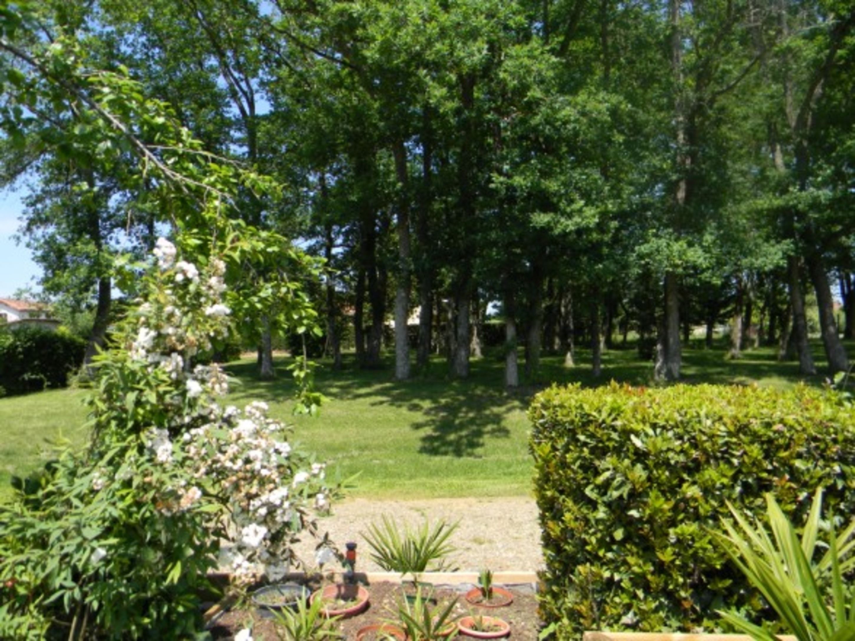 Le Moulia