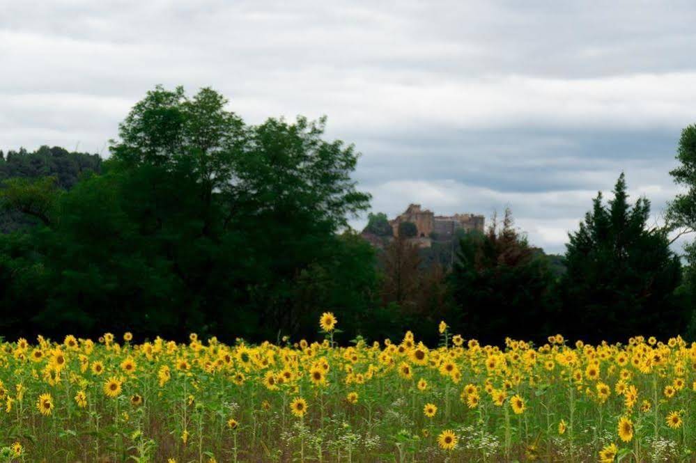 Domaine de Borie