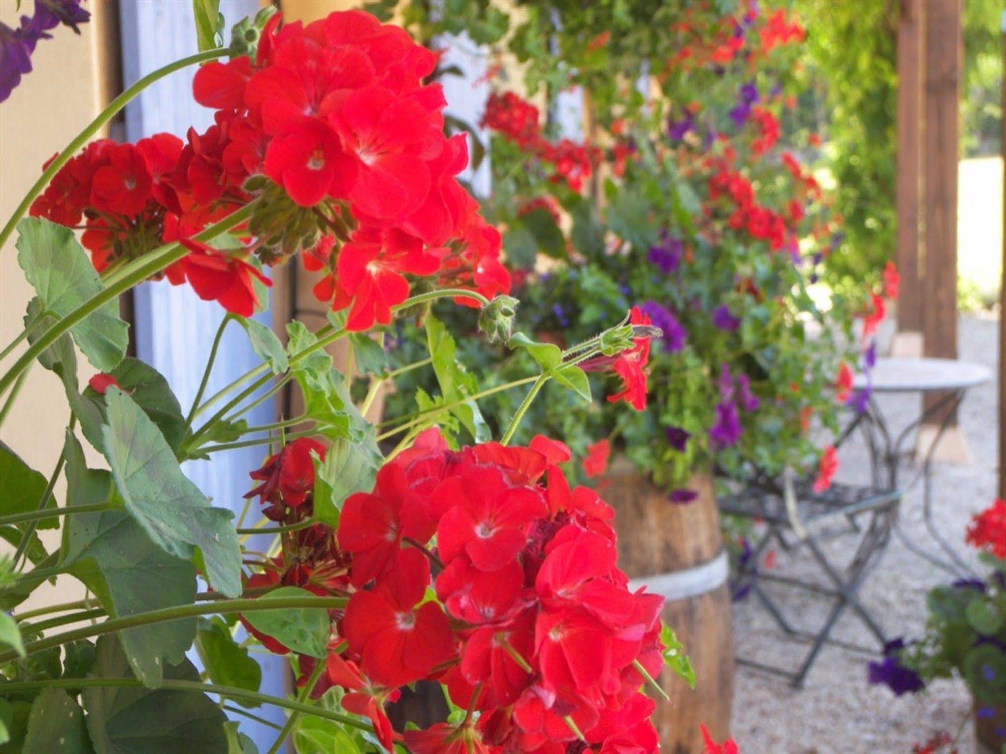 La Galerie B&b