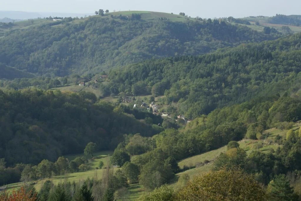 Domisiladore