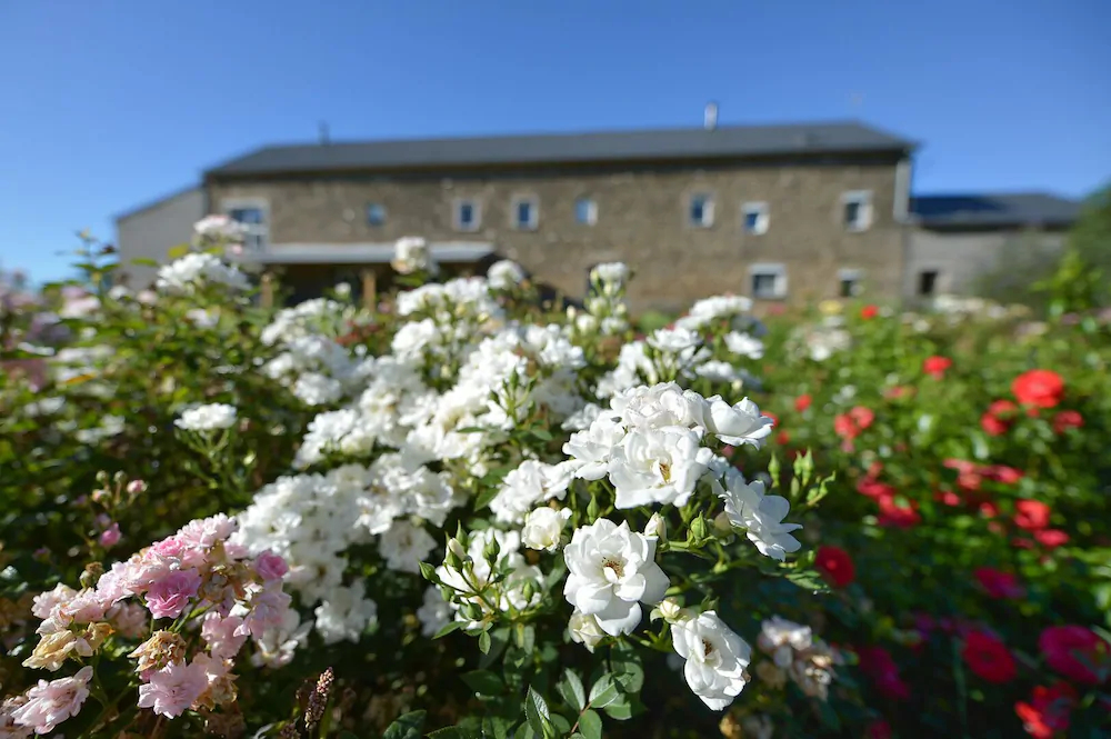 Chambres D'Hôtes de Taysses