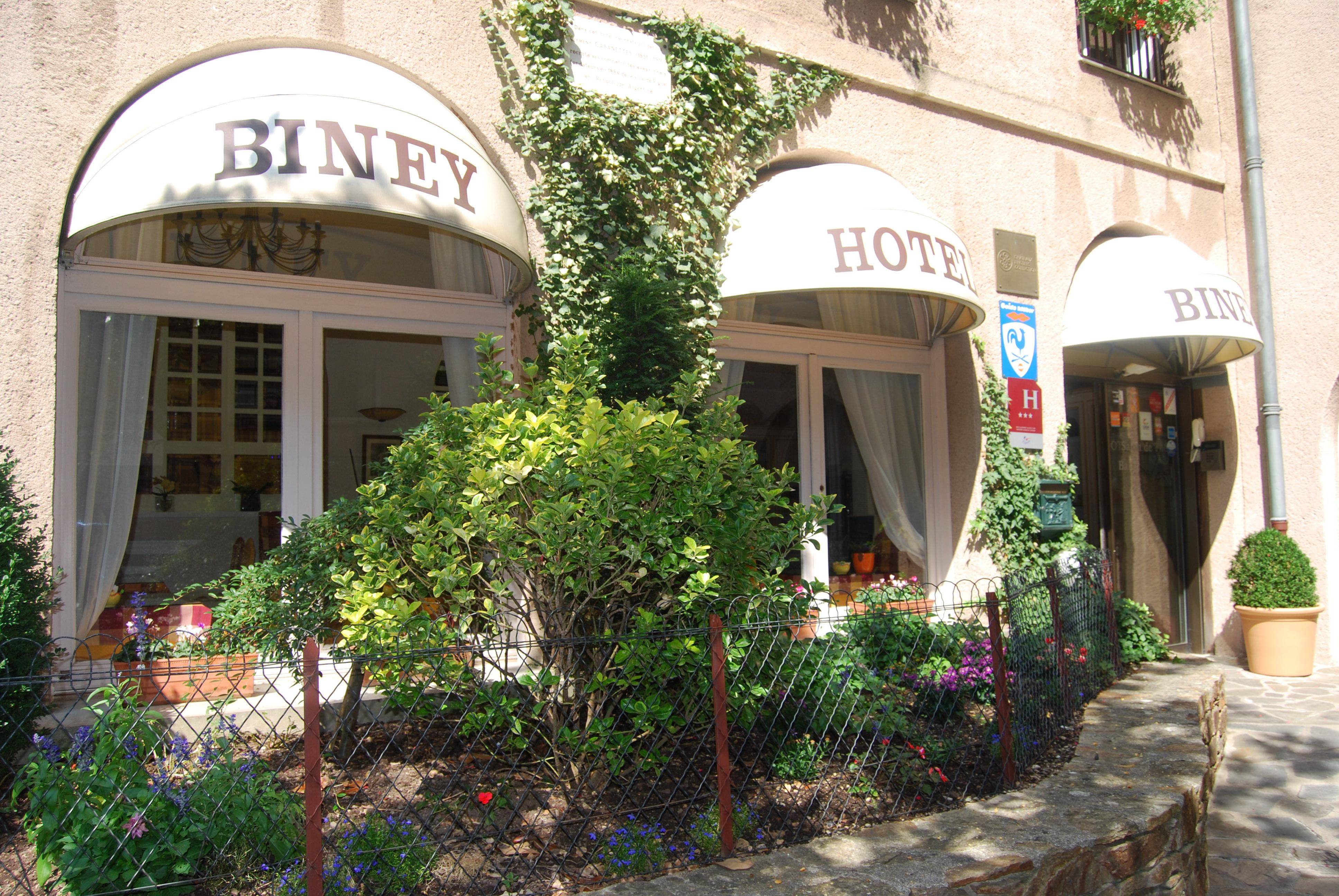 Biney