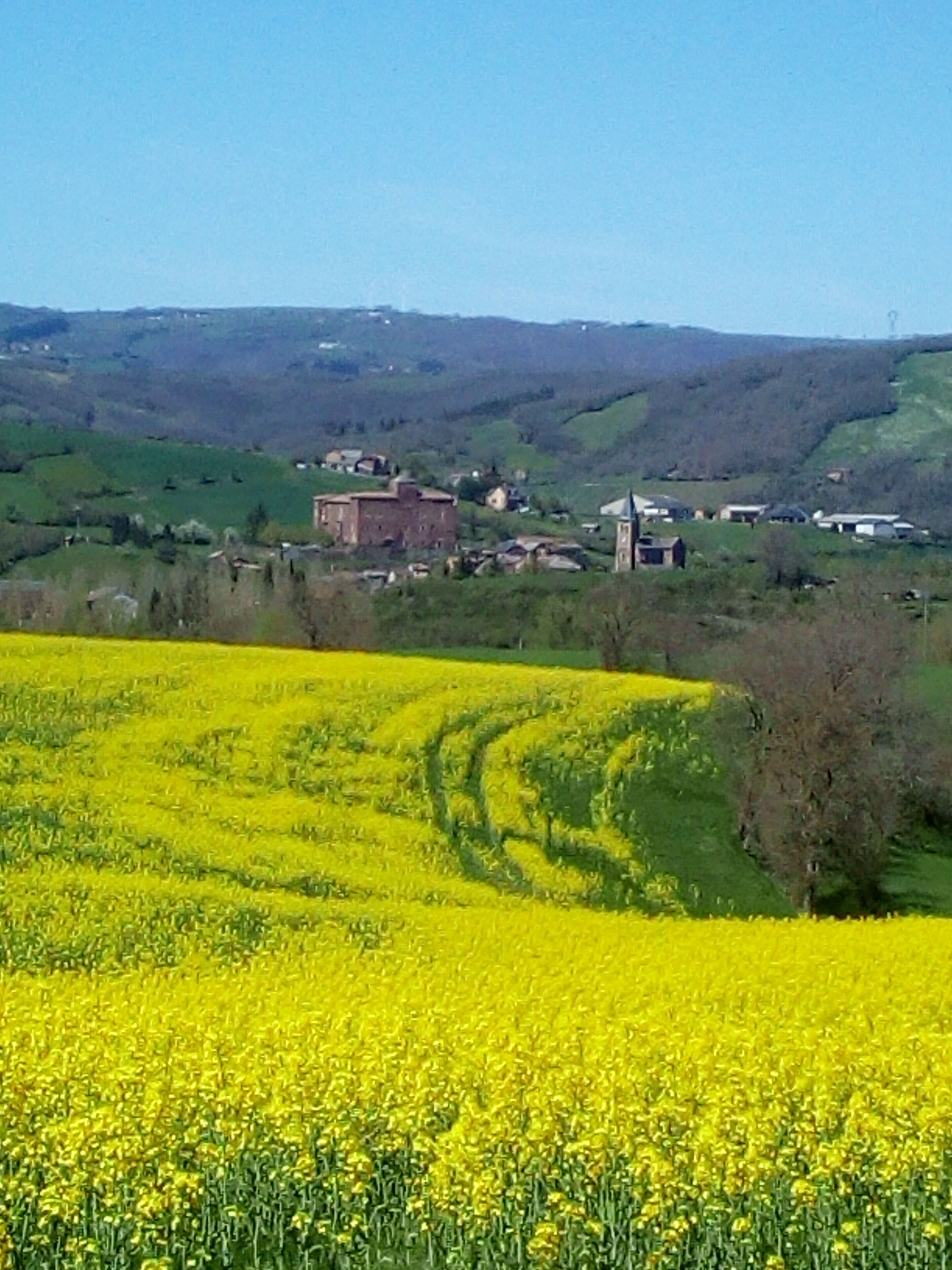 Gîte & Chambre D'hôtes Des Monts