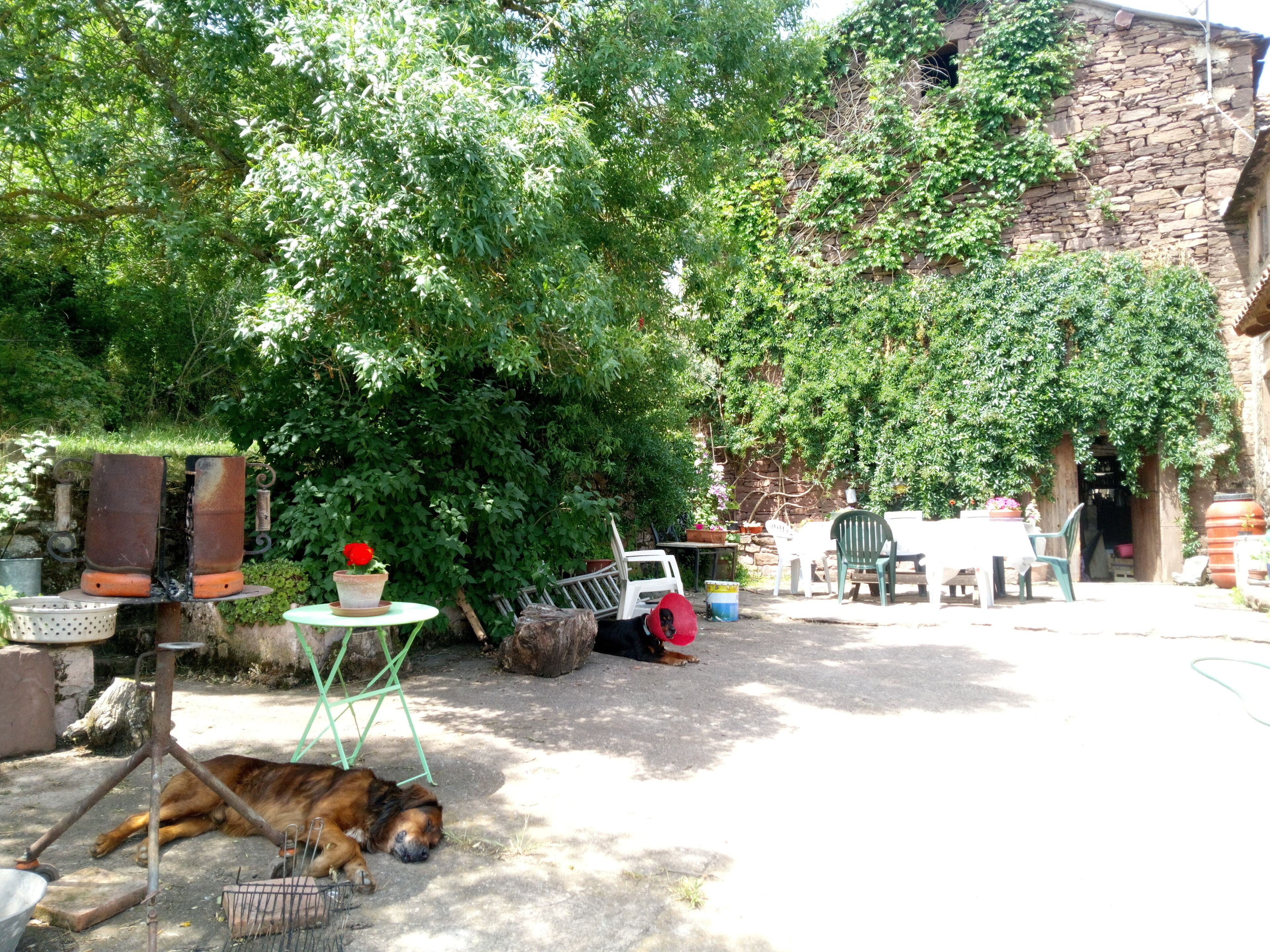 Gîte & Chambre D'hôtes Des Monts