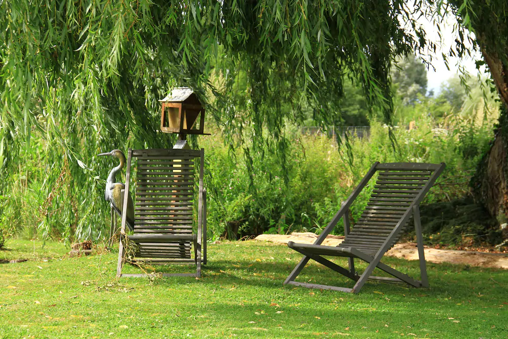 Cléome Chambre D'hôte