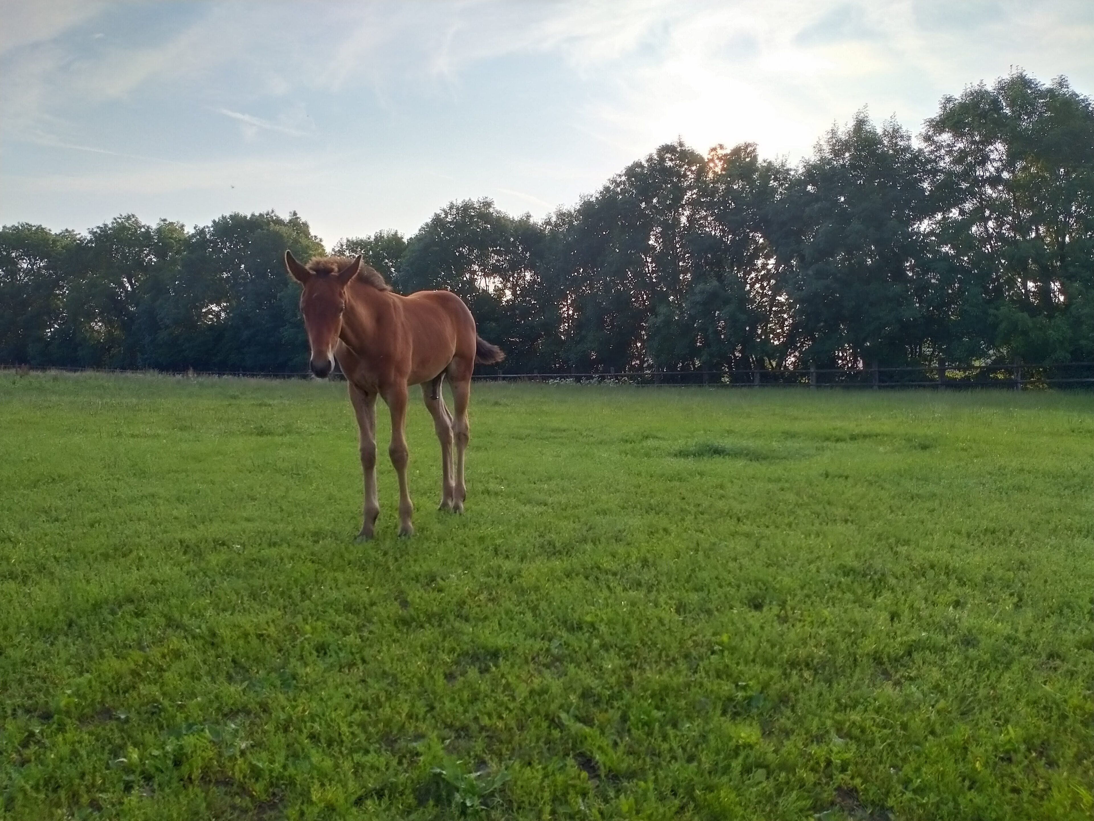 Le Gite Du Haras D'havetot