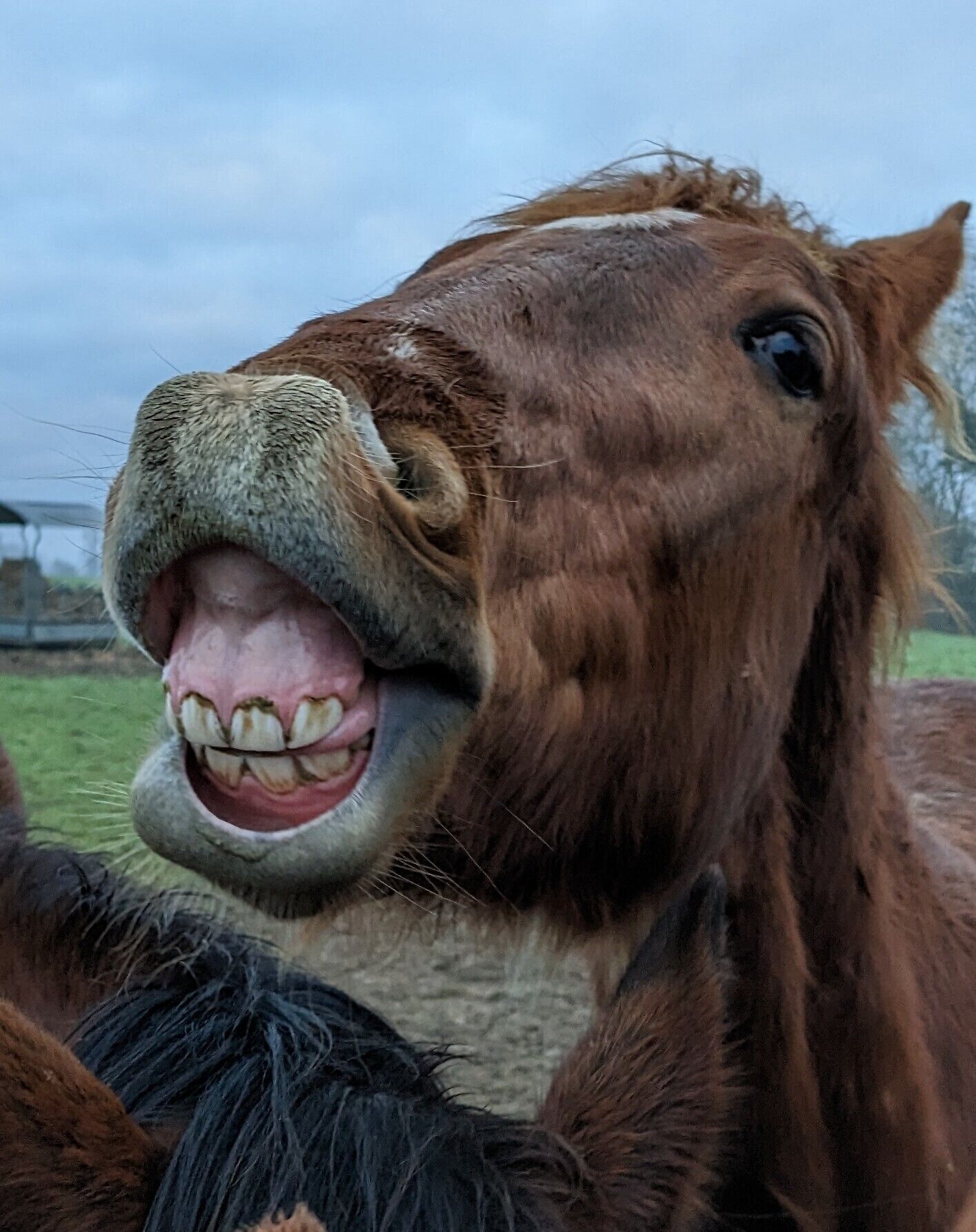 Le Gite Du Haras D'havetot