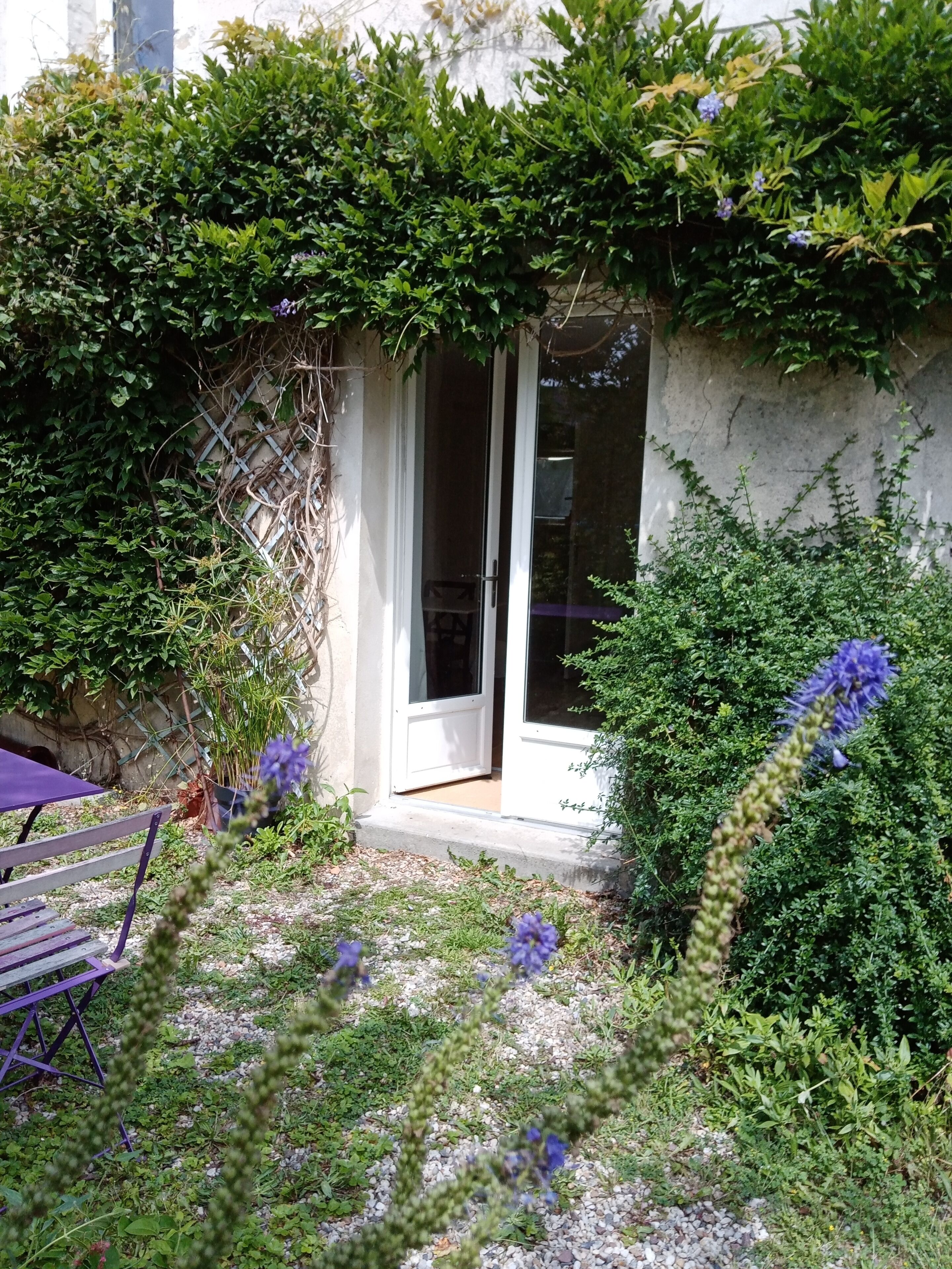 Rose Garden Bayeux