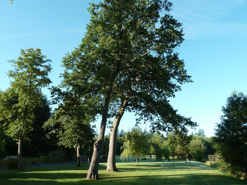 Domaine de la Tour