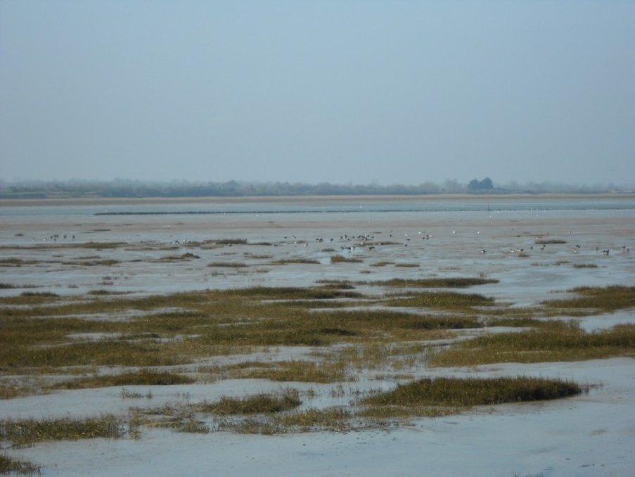 Aire de la Baie