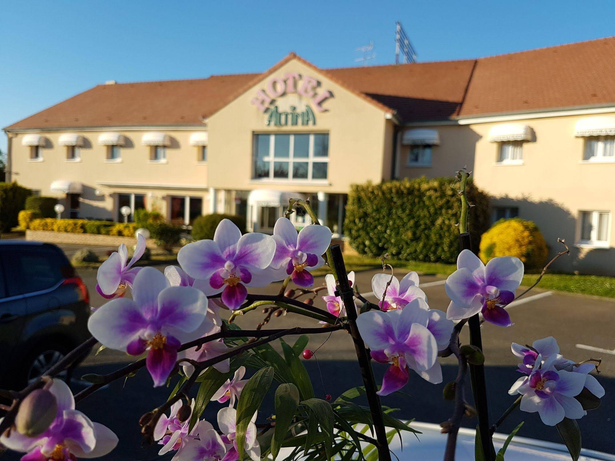 Hotel Altina