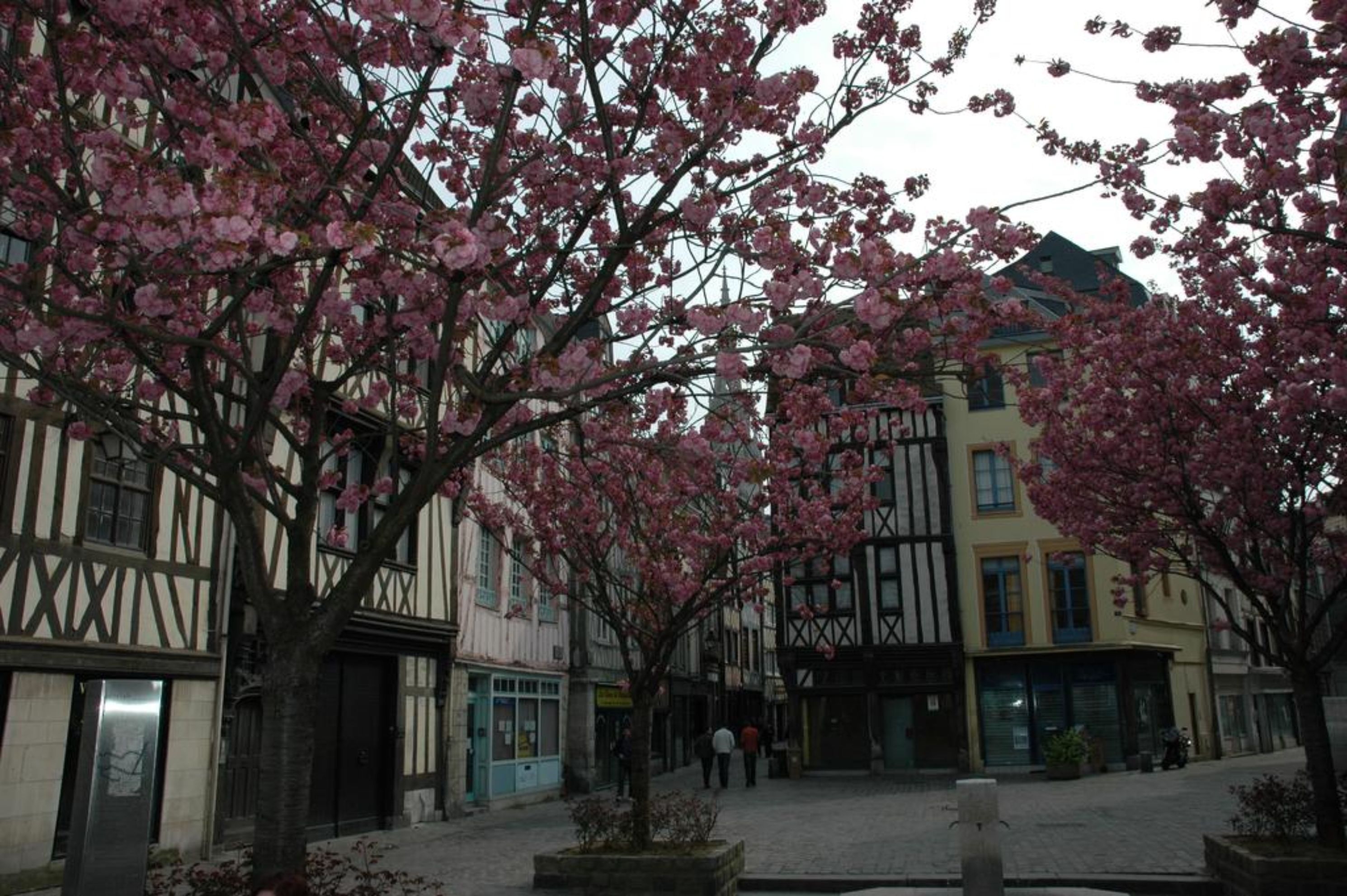 Rouen Quartier St Maclou