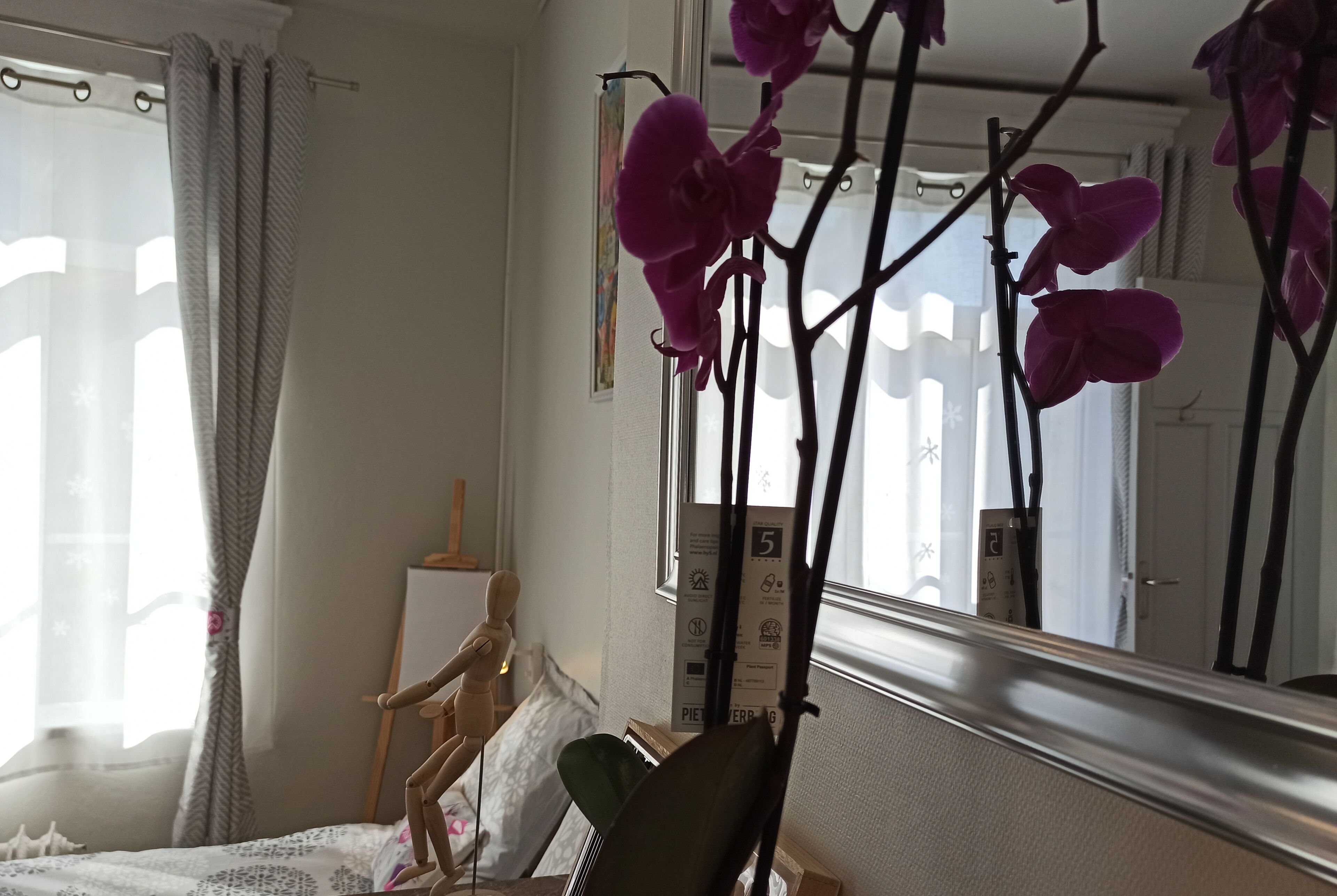 B&B My Art House