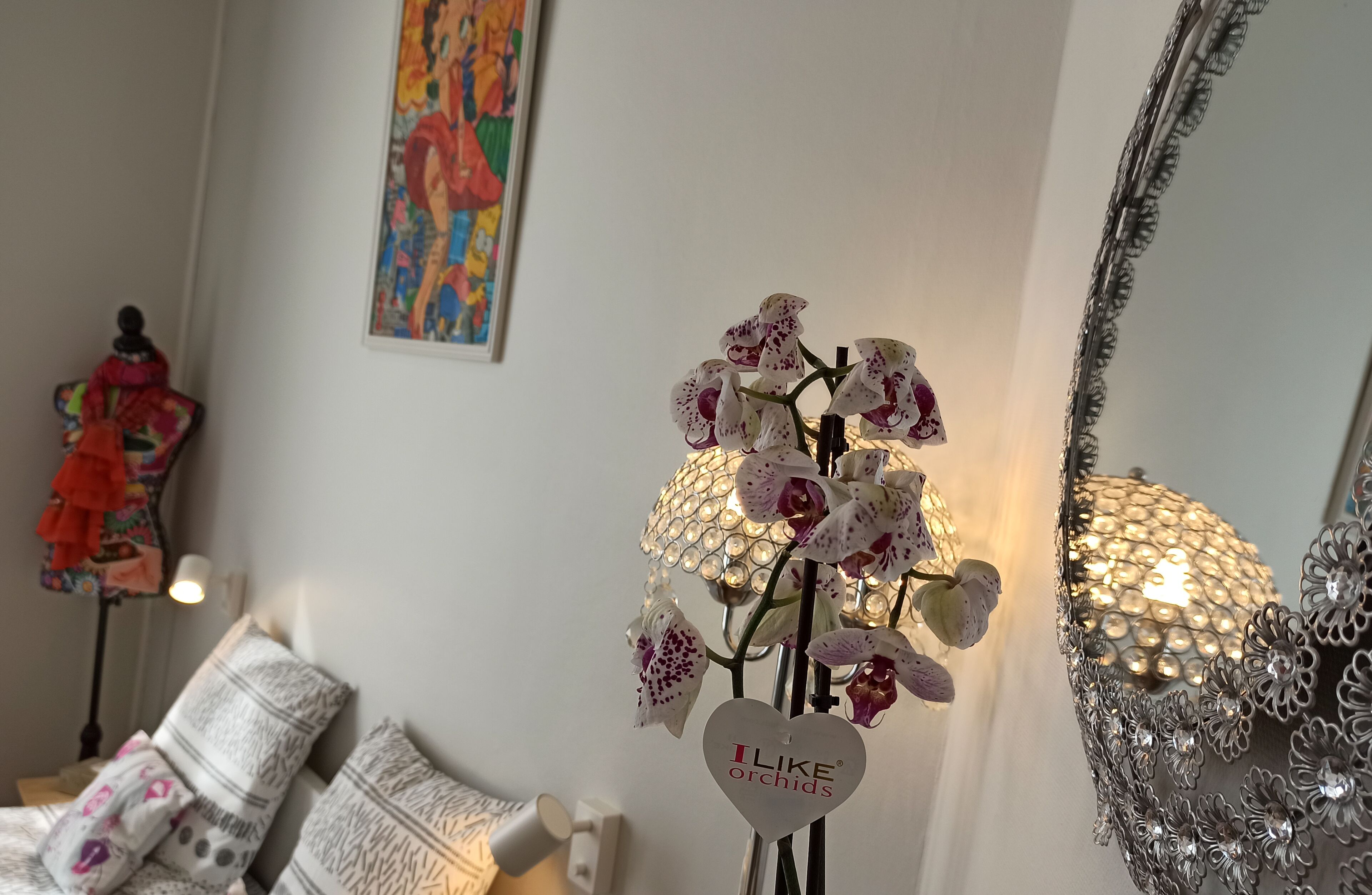 B&B My Art House