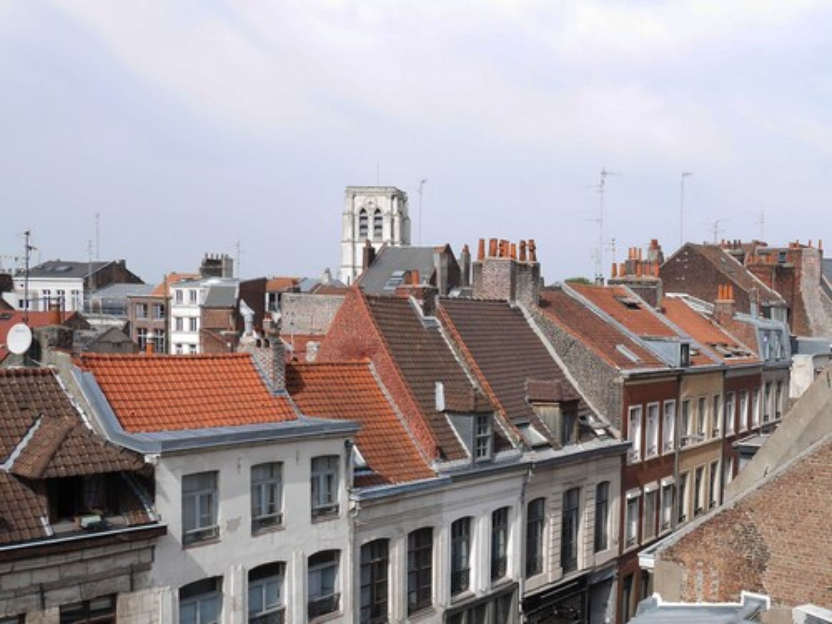 Le Chat Qui Dort-Suites