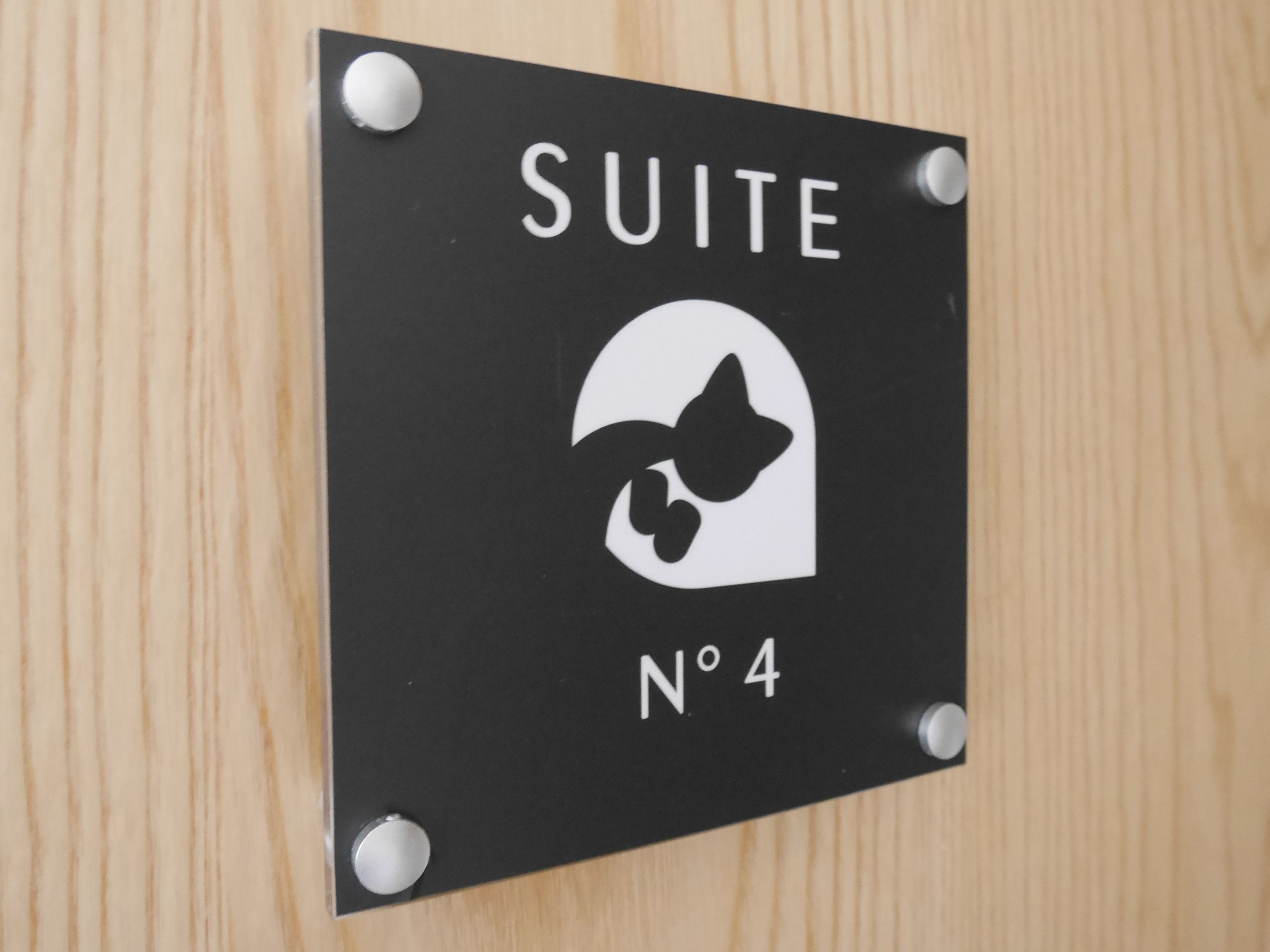 Le Chat Qui Dort-Suites