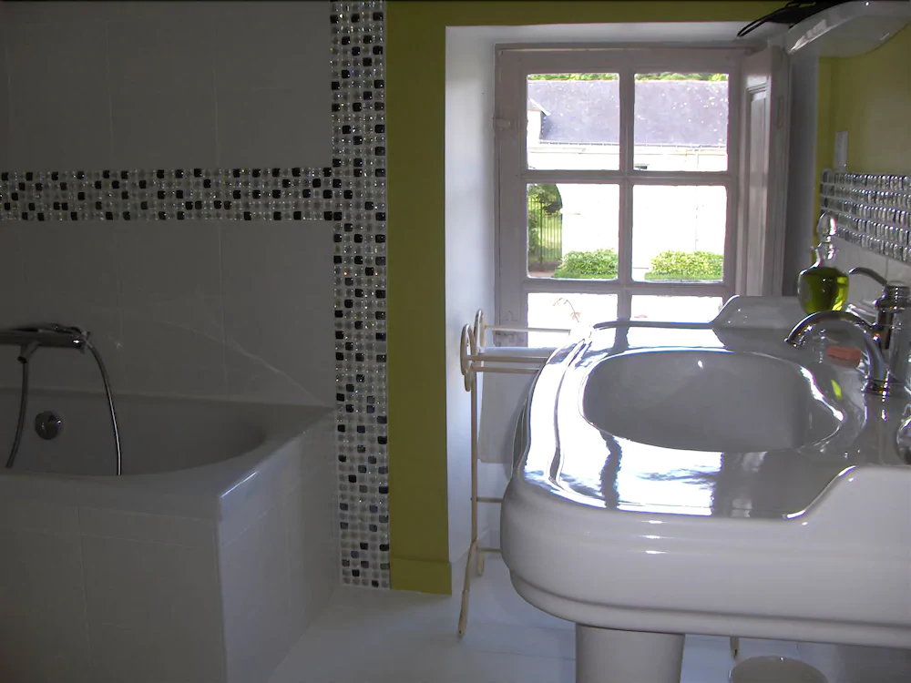 Chateau de l'Oiseliniere