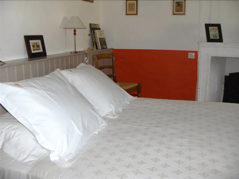 Chateau de l'Oiseliniere