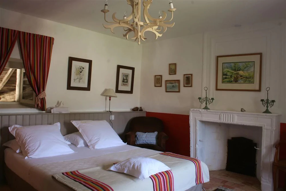 Chateau de l'Oiseliniere