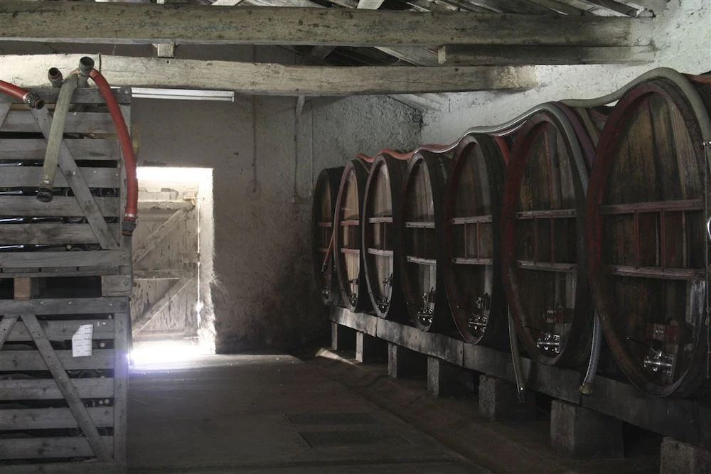 Chateau de l'Oiseliniere