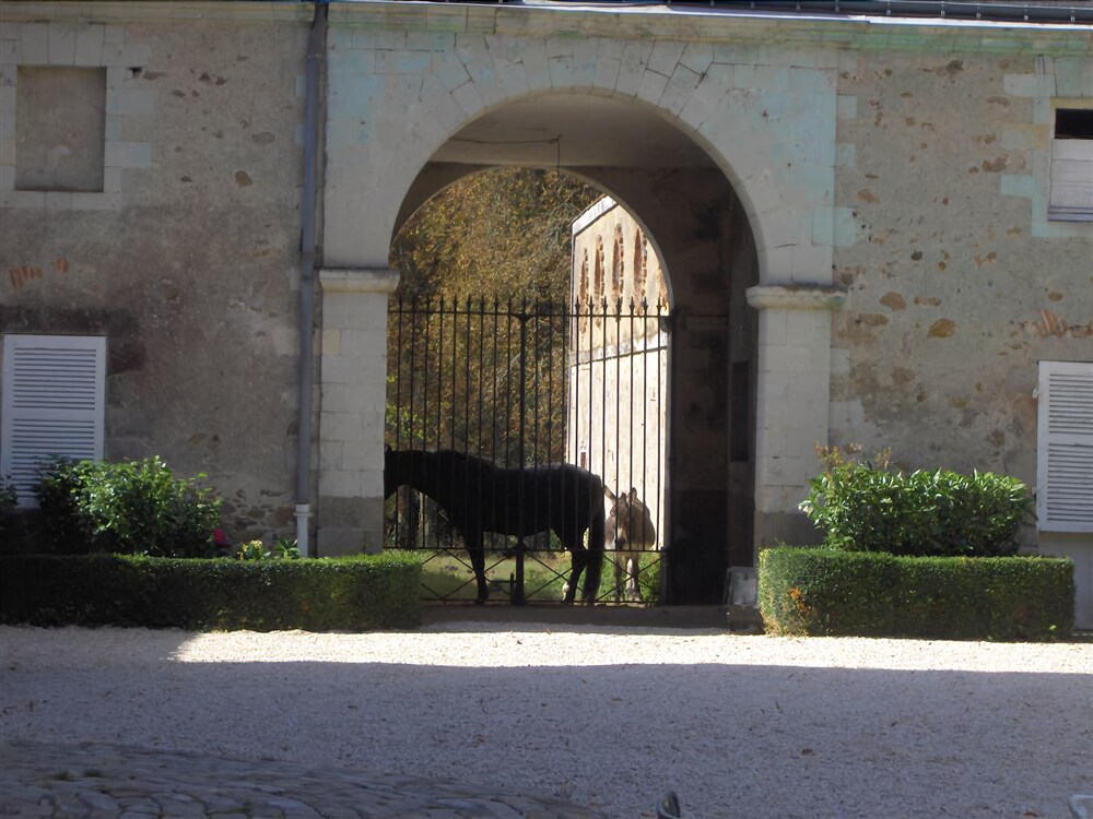 Chateau de l'Oiseliniere