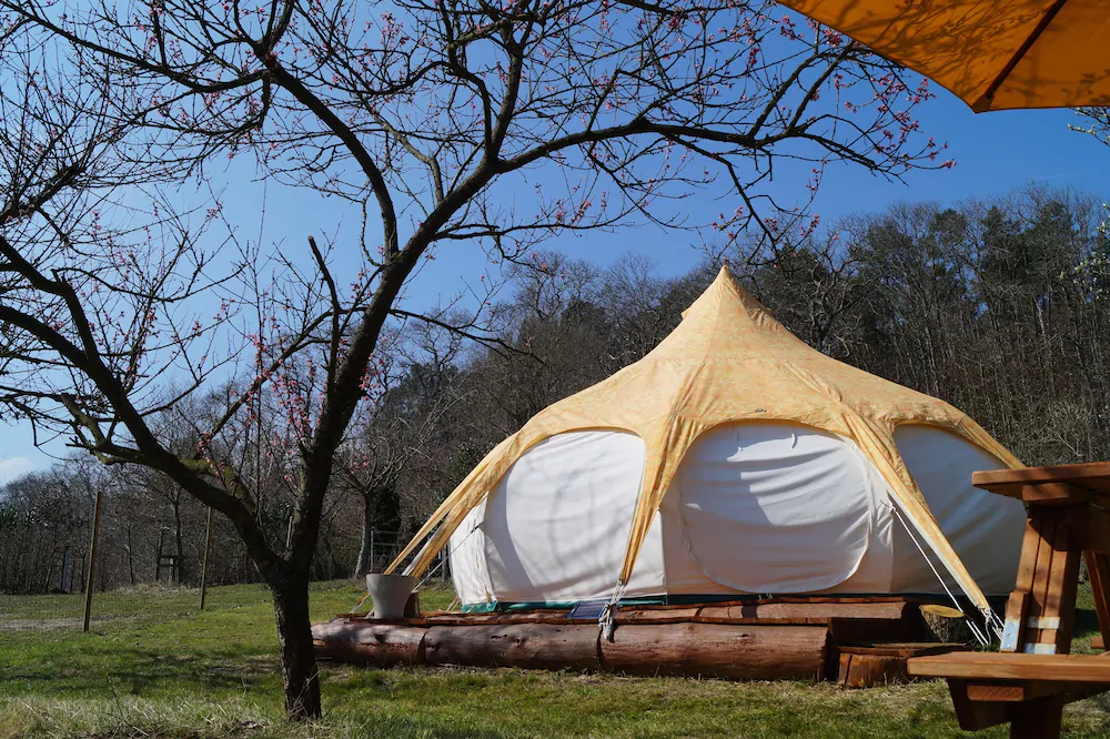 Loire Valley Llama Farm Stay