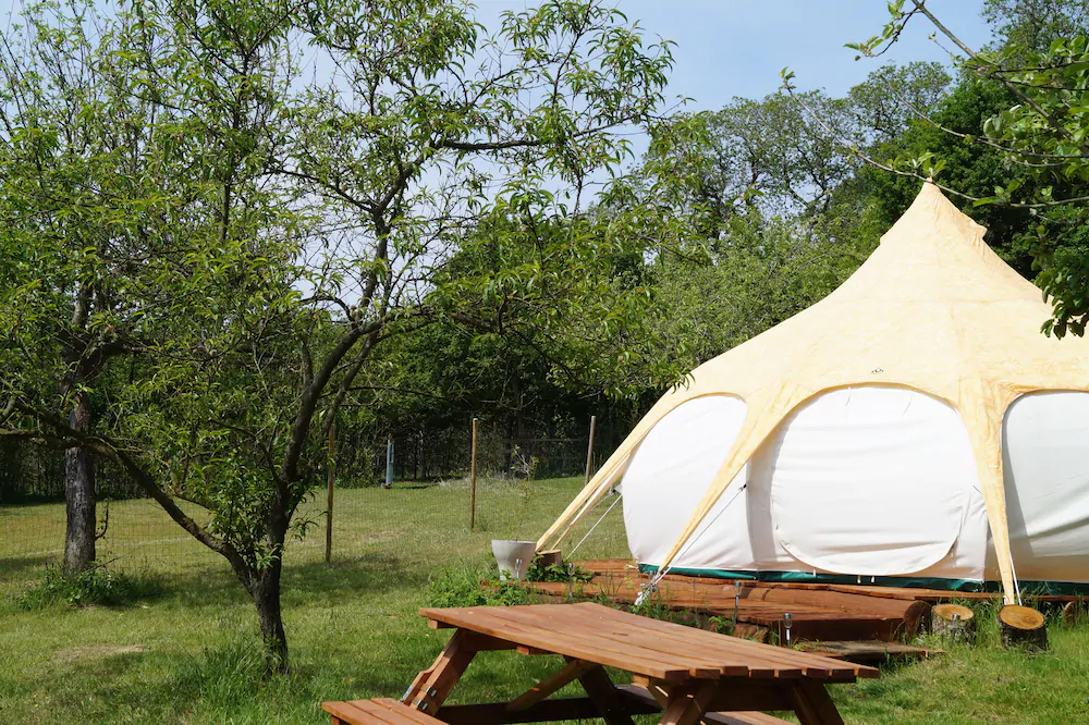 Loire Valley Llama Farm Stay