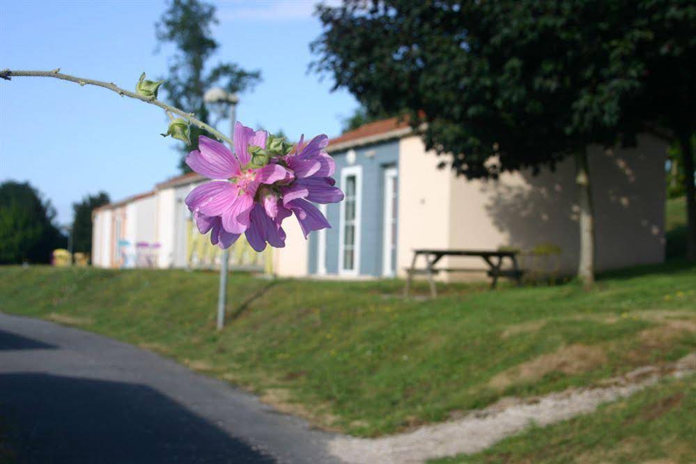 Adonis Les Epesses by Olydea