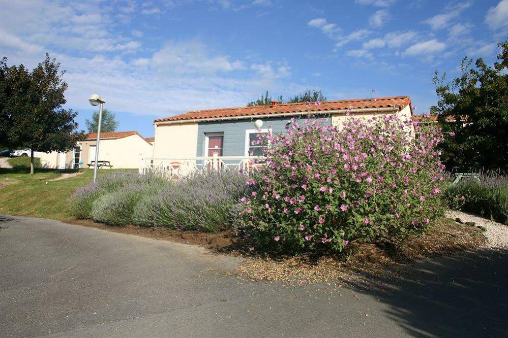 Adonis Les Epesses by Olydea