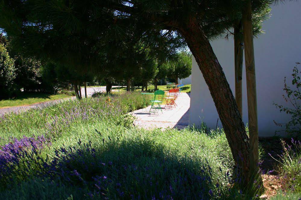 Adonis Les Epesses by Olydea