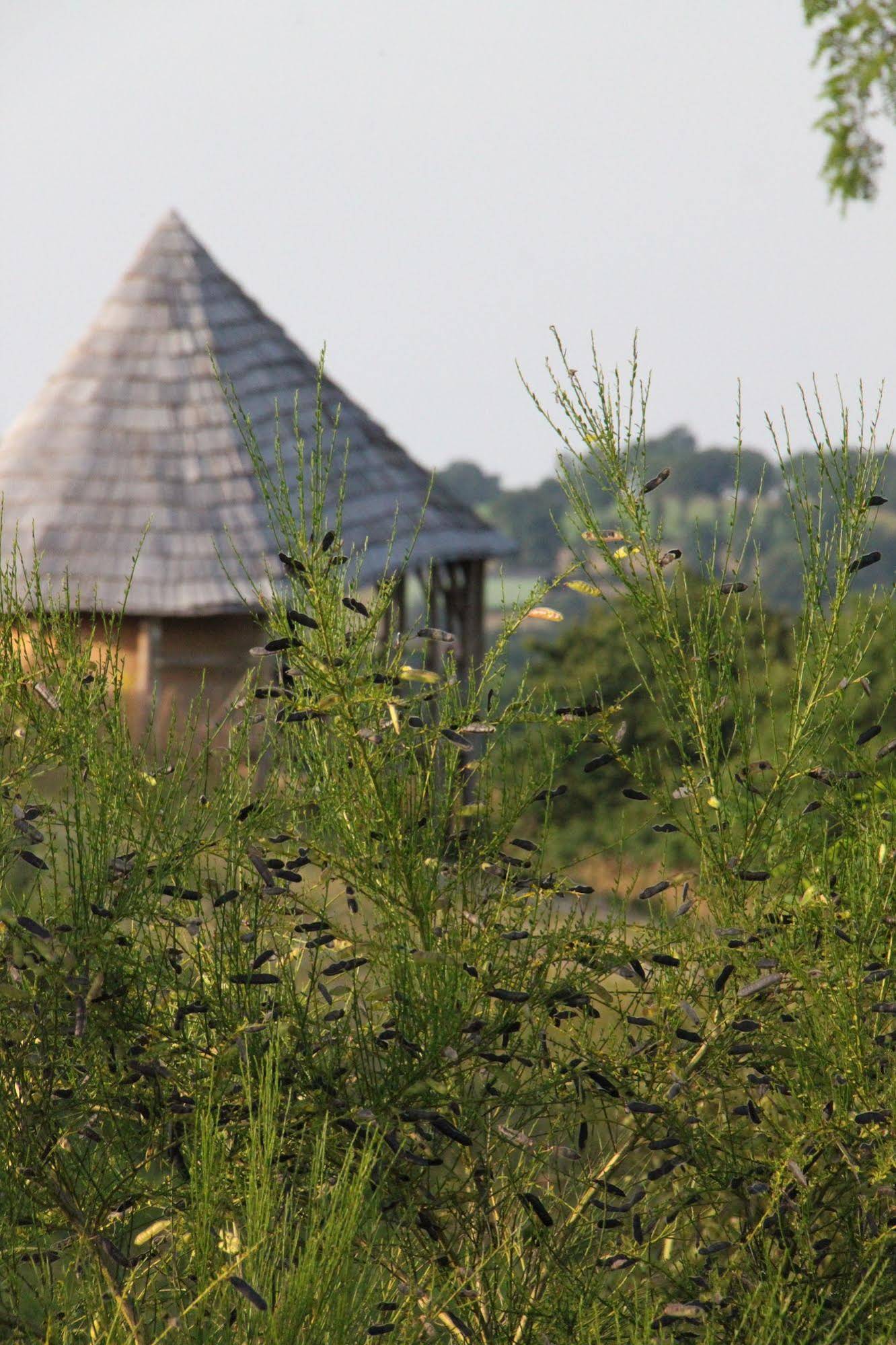 Terragora Lodges